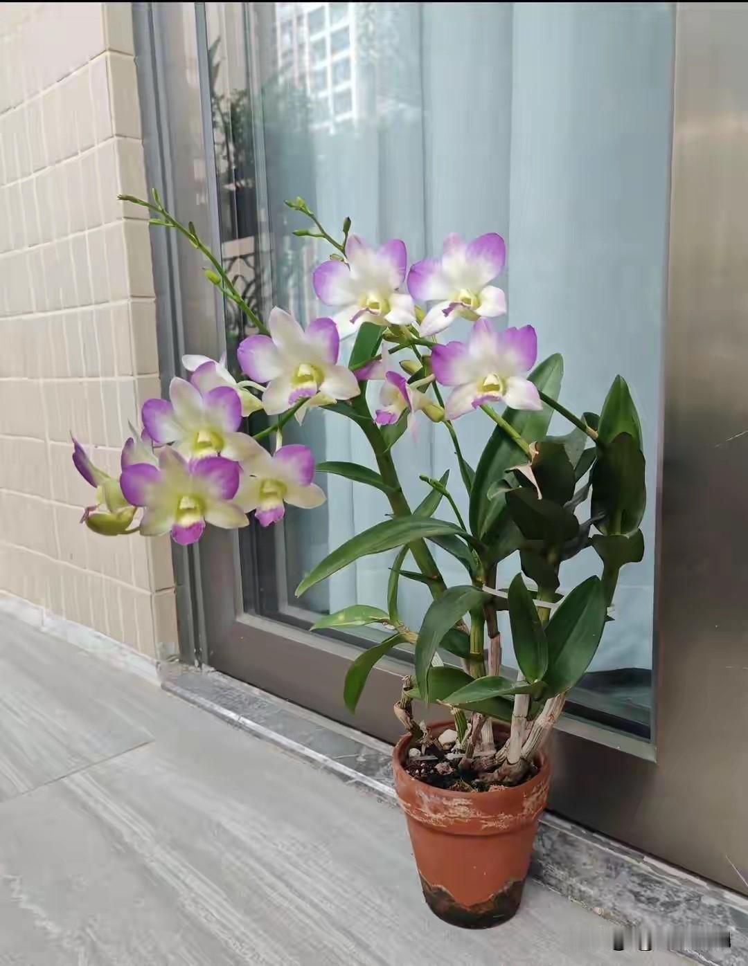 你那里还天天下雨吗
你的心情还烦吗
今年的雨水太多
让你受累了
知道你心情不好