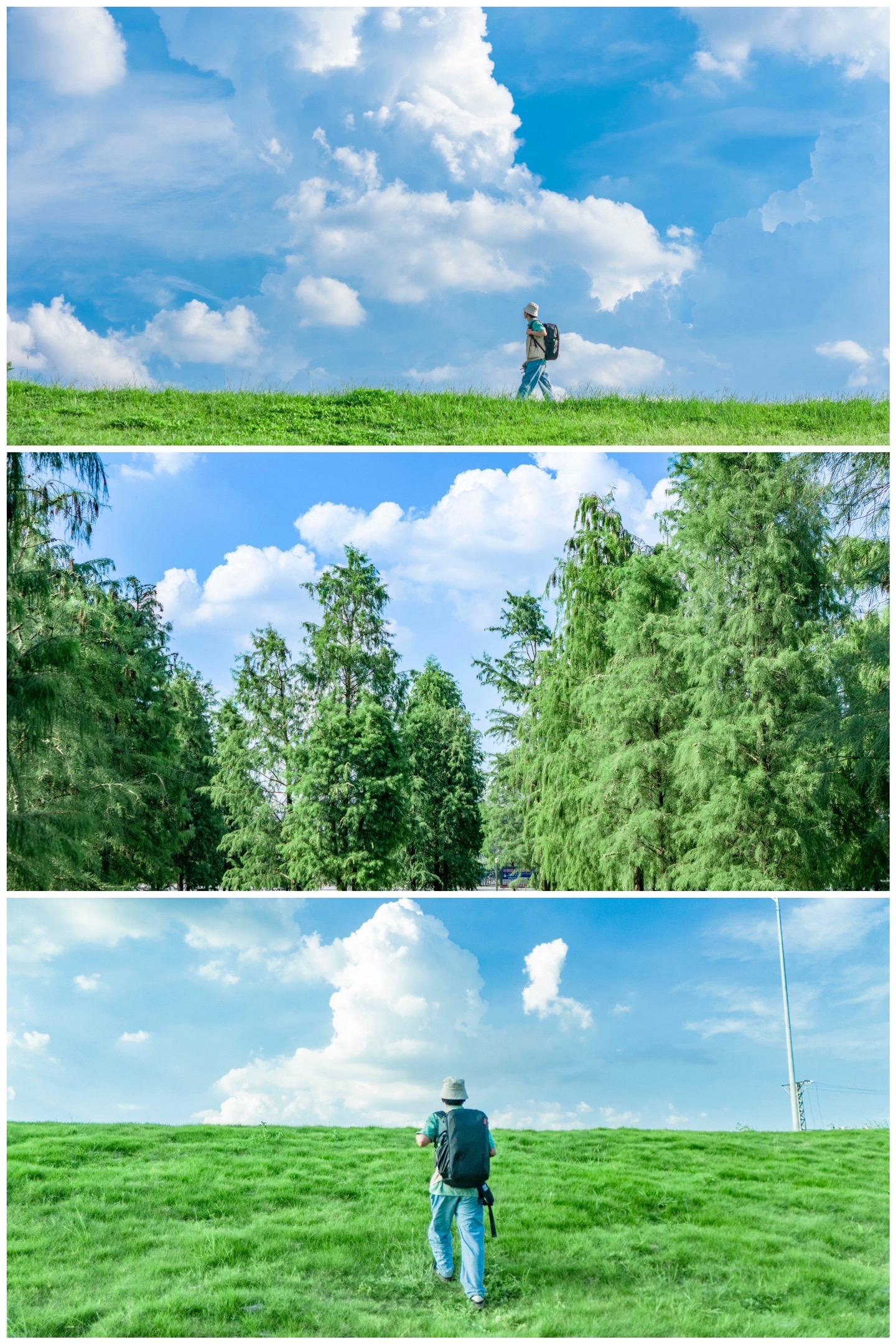 这是属于佛山版“阿勒泰”这是佛山的一片江边草地，草地整体比较平，草也比...