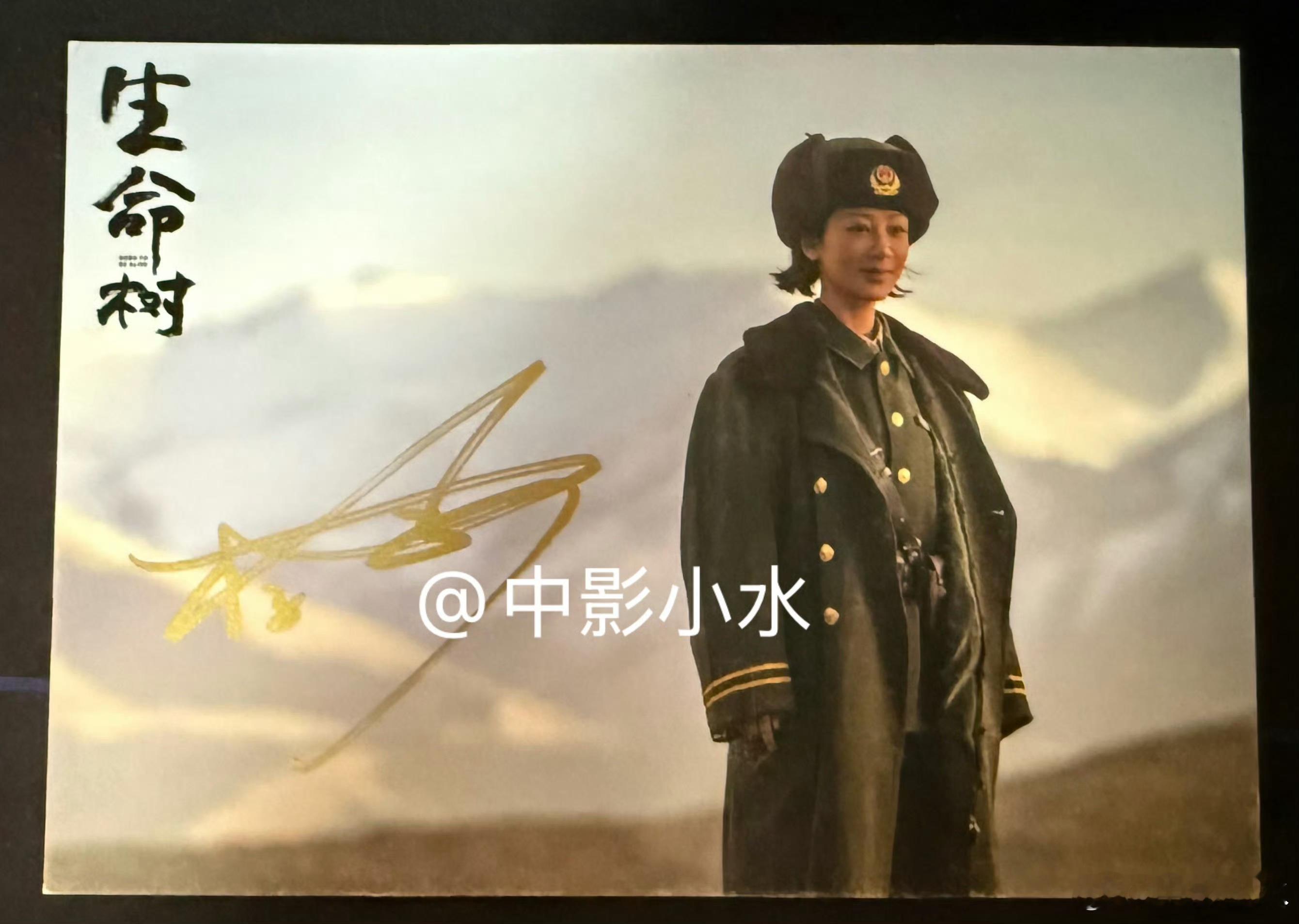 杨紫 庆祝家业开播 这张白菊送给李祯的观众转发里抽一个铁粉+，家业大结局当天开~