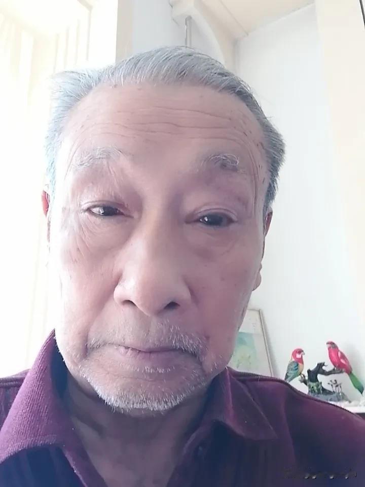 清明时节雨纷纷，路上行人慾断魂，昨天儿女开车买不少祭品去爷奶墓地去扫墓。路上人多