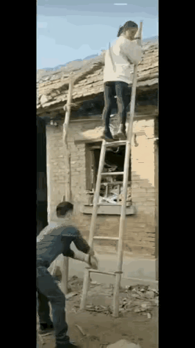 这配合，绝了！