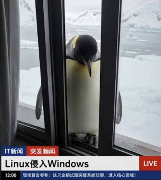 #微软堵上活跃20年的盗版Windows漏洞# 微软发布了一项新规，准备给 KM
