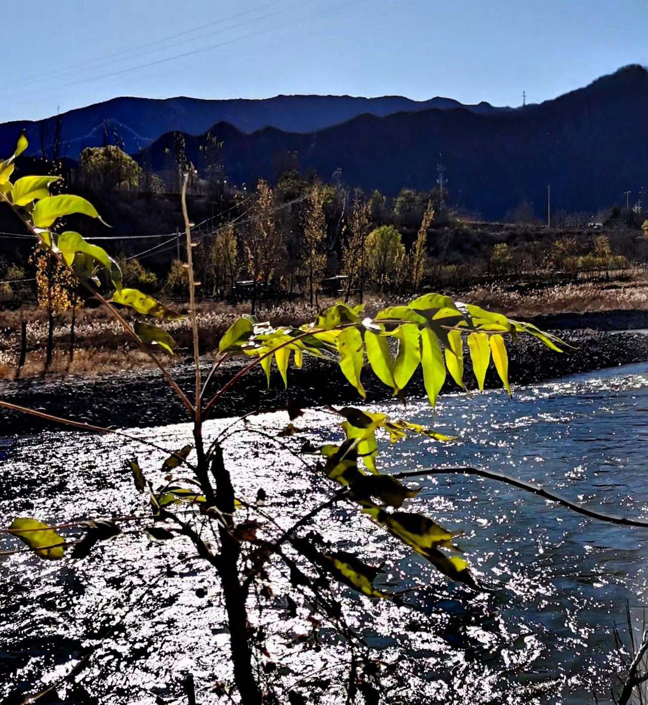 分享你随手拍的风景