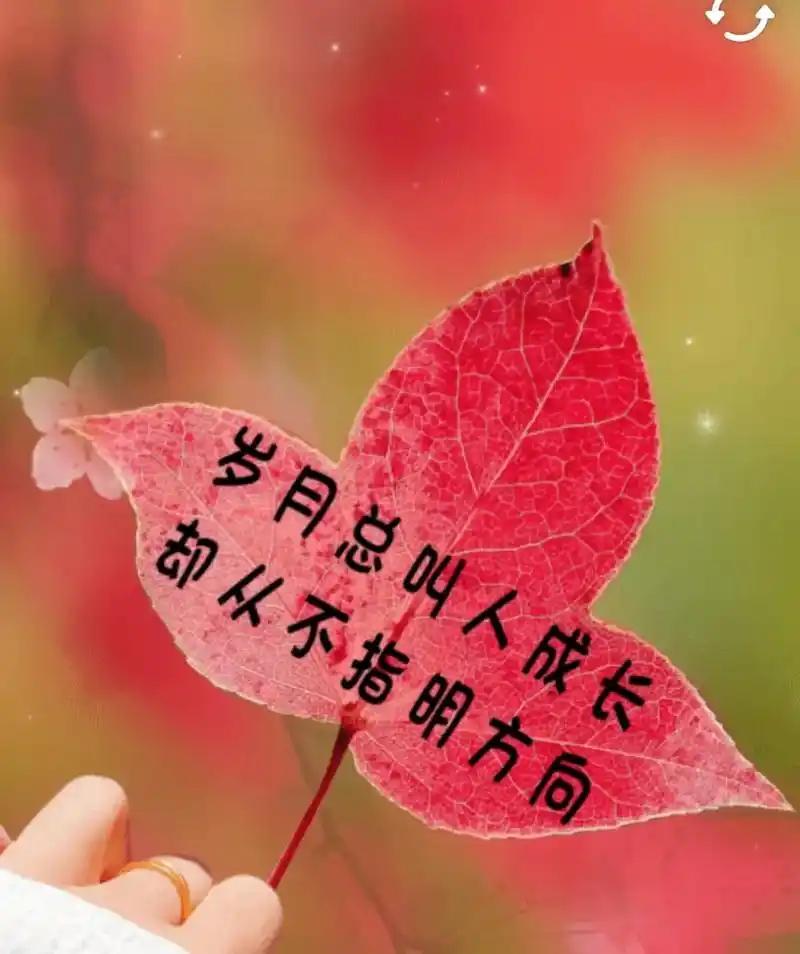 贫居闹市无人问，富在深山有远亲。