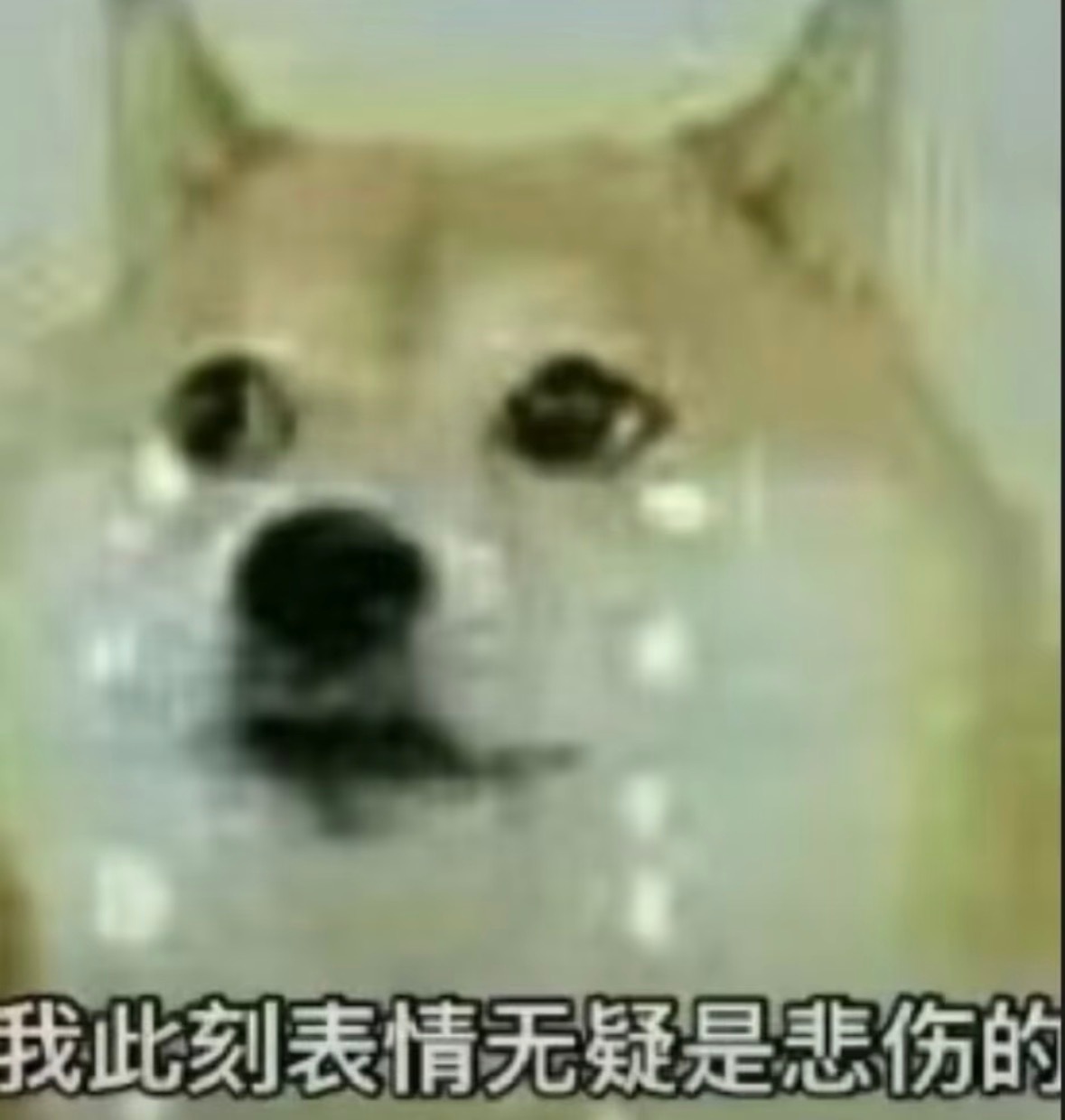 说好的养号然后看到互关的精品原创就忍不住阿帕次阿帕次的套转起来了 