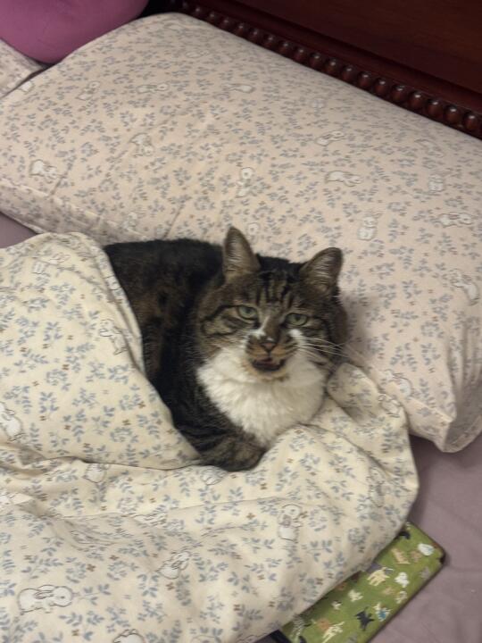 知冷知热的好宝。