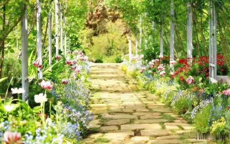 今日爆款文章：《半生走过才懂：来日从不久长，余生原来这么短》

半生走过才懂：来