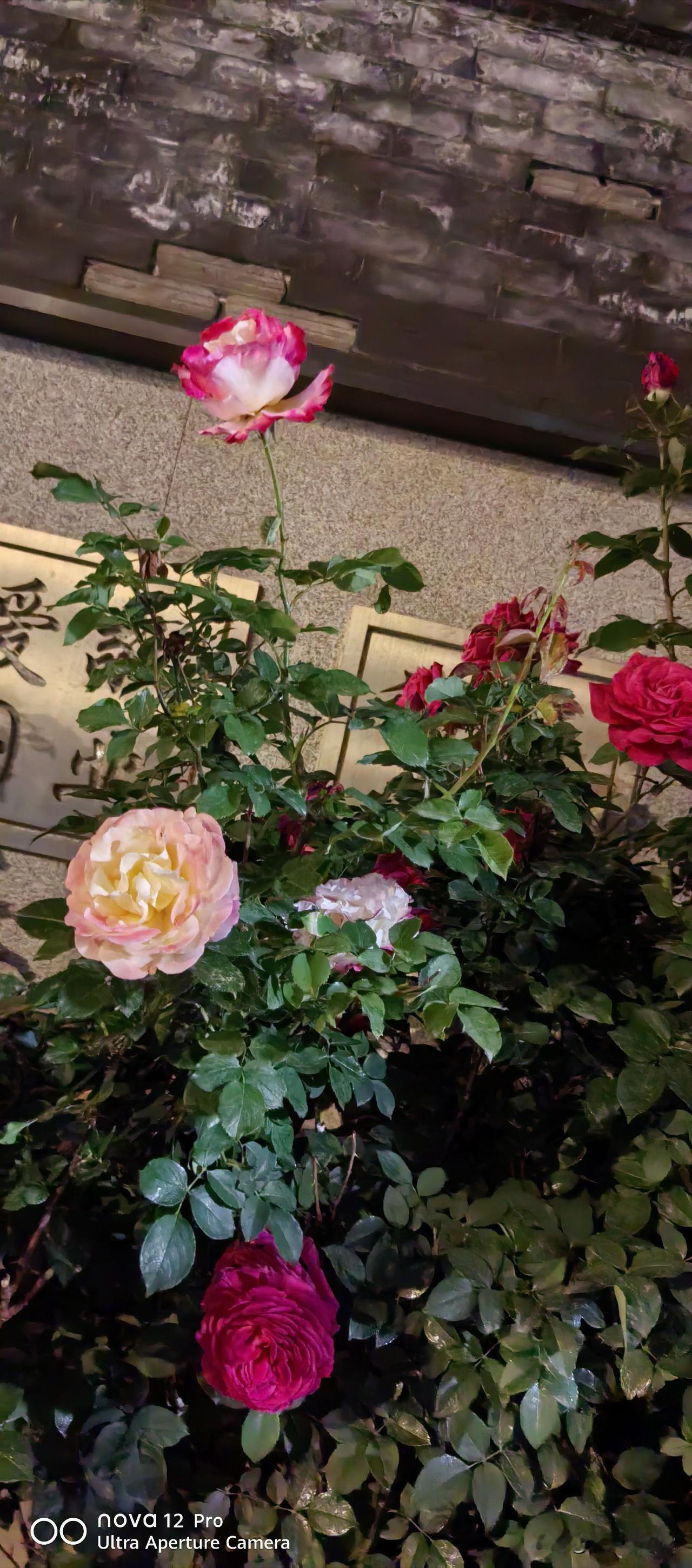 中小学取消重点班对学生有何好处
