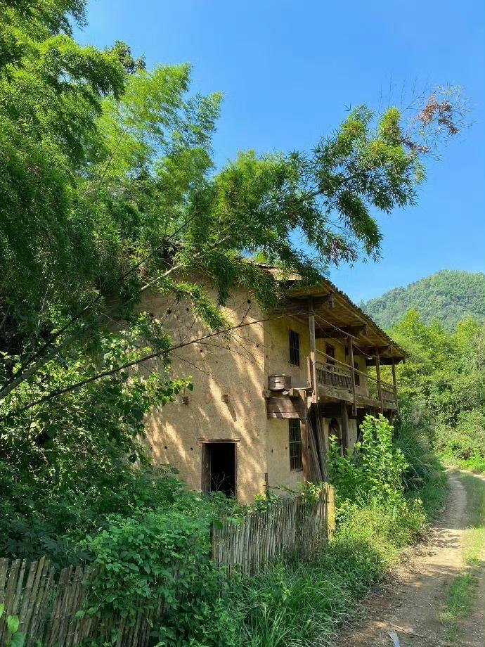 夏日乐趣 向往的夏天生活