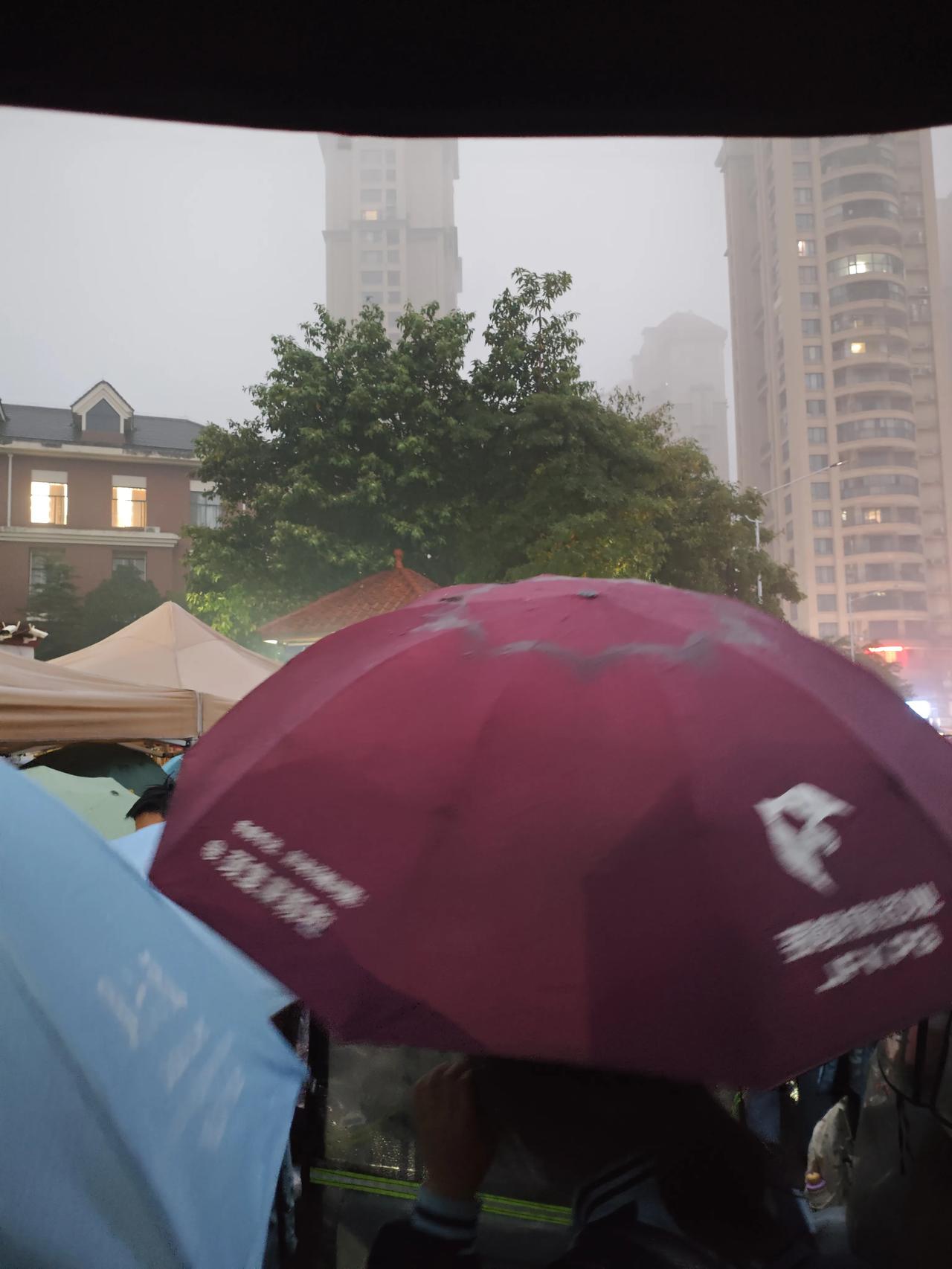 分享一件幸福感小事前天去接孩子放学，下着雨我却没有带伞，不是忘记带，而是家里的伞