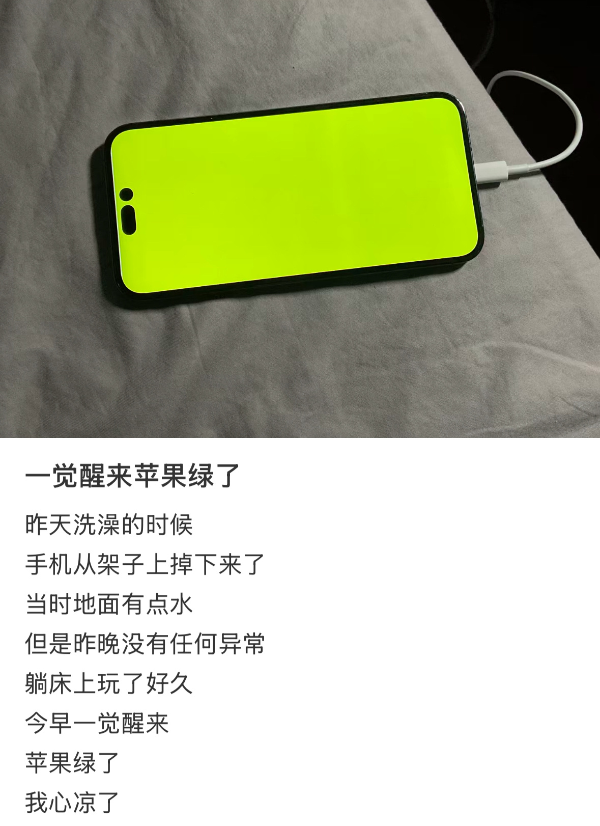 网友的iPhone 14 Pro Max摔成了苹果绿。 