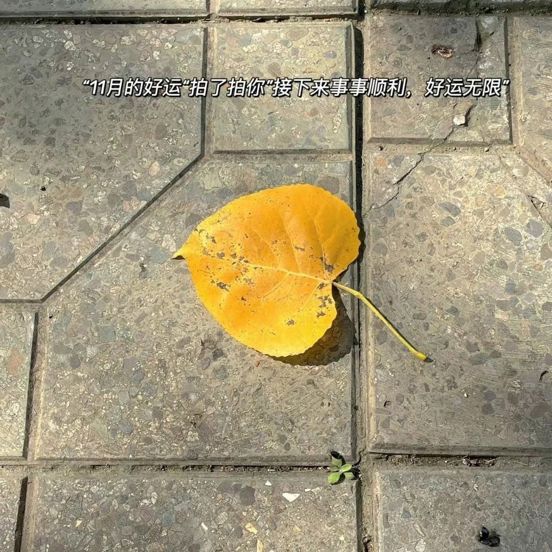 余华说：“我摔了一跤，摔得好疼，可是我又回头看了一下，这不是我当初自己愿意跳进来