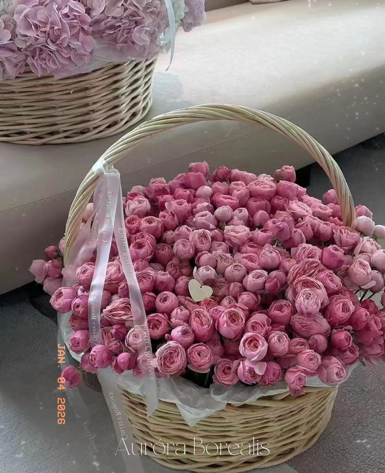 哇，

这一篮子粉紫色的玫瑰也太绝了吧！

你看，它满满当当的，把篮子都快撑爆了