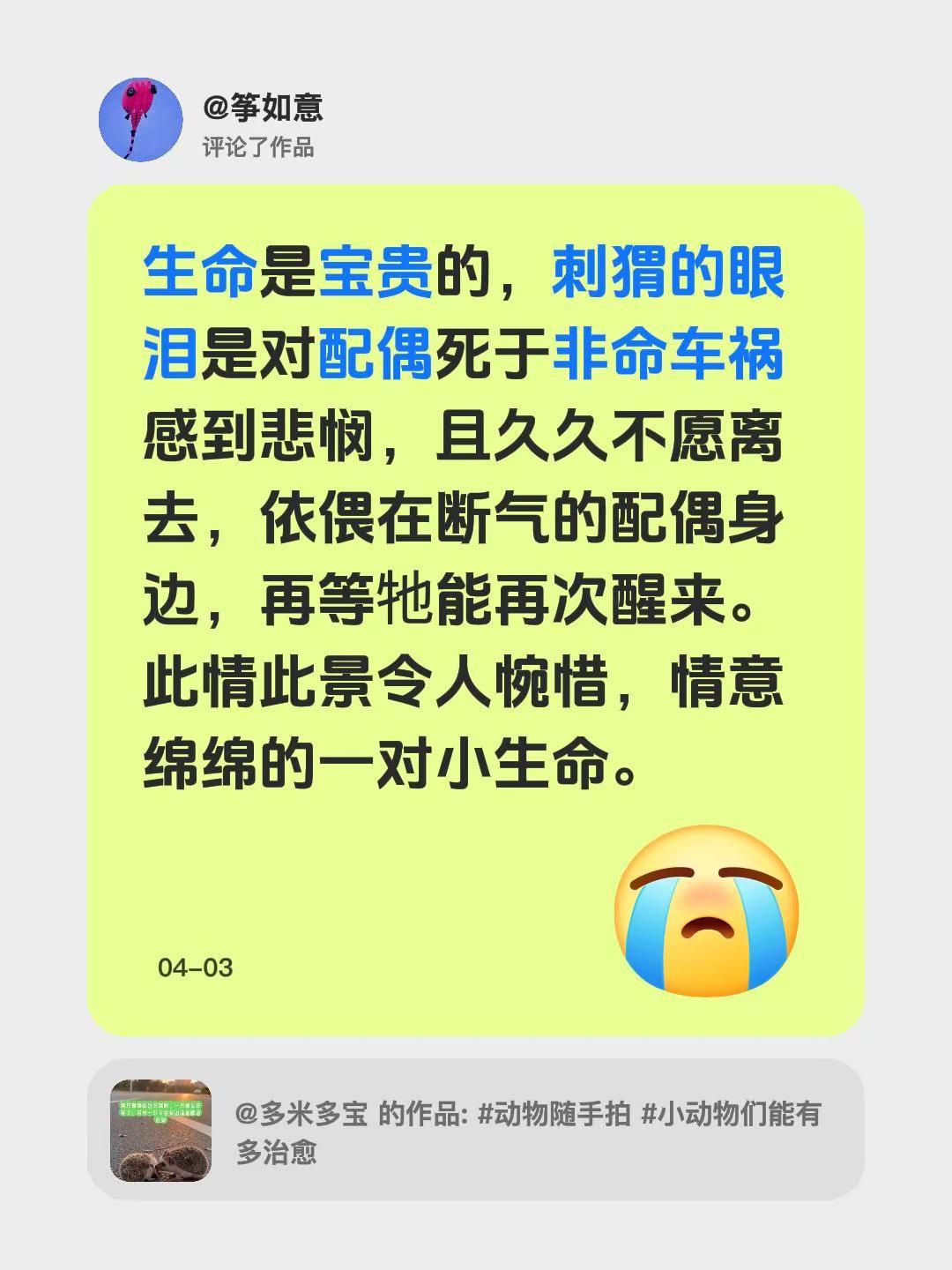 我评论了@多米多宝 的作品：生命是宝贵的，刺猬的眼泪是对配偶死于非命车祸感到悲悯