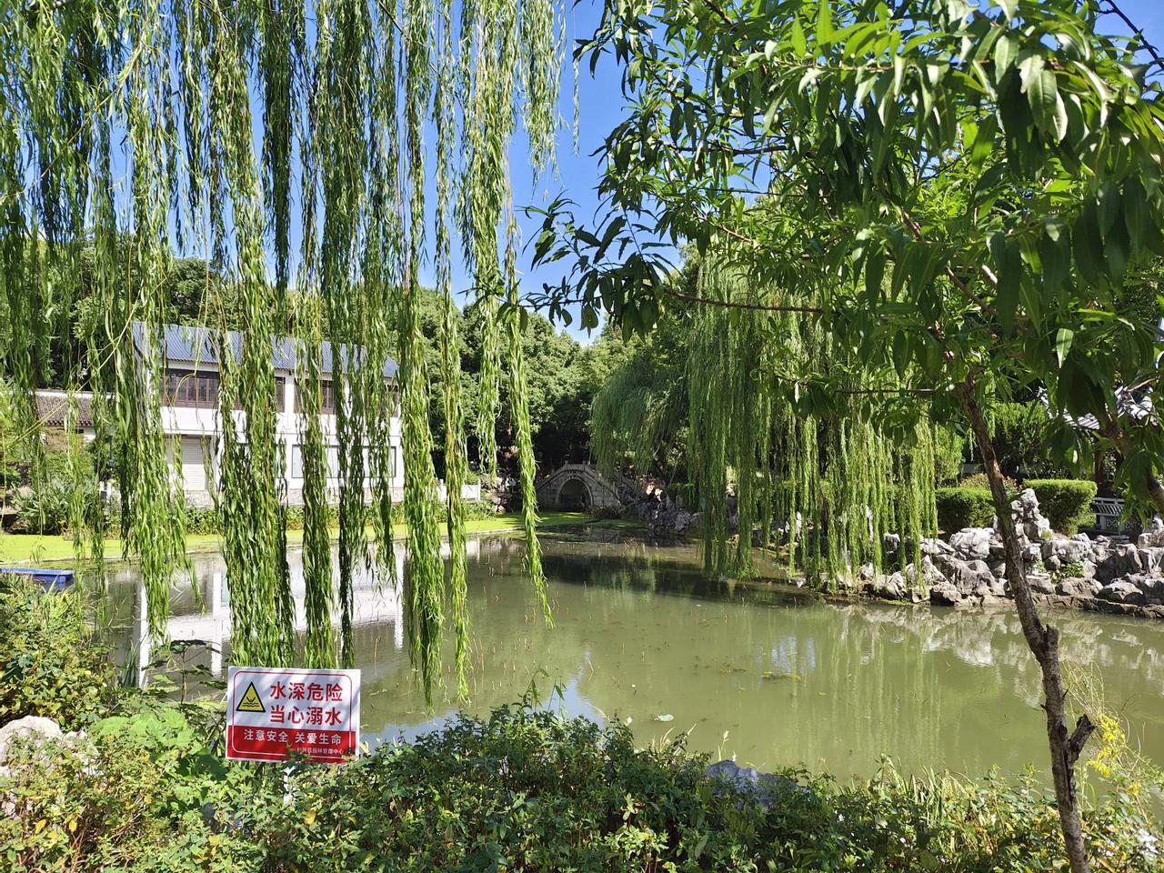 #出门去踏秋#
秋日选择空气新鲜的公园走一走，可谓是心旷神怡，精神气爽！
你看小