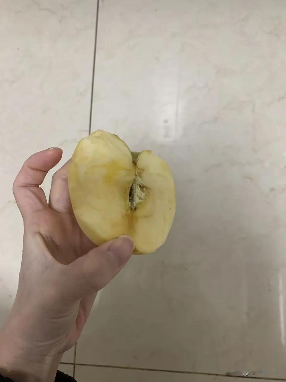 女儿把吃了仅一口的苹果，掉在了地上，我说，你去厨房洗洗吧，她走进厨房，直接把苹果