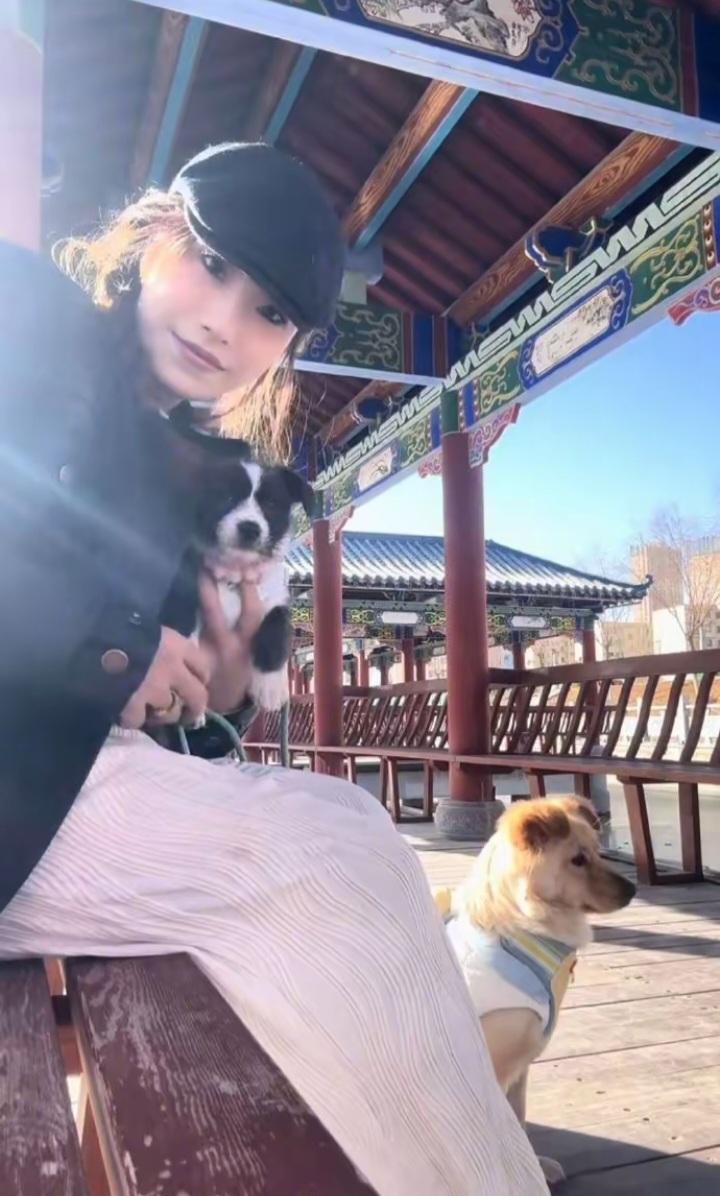 摸完动物需要洗手才能吃东西，不要用嘴亲或吸流浪的猫或狗，它们可能携带病菌。秦思雨