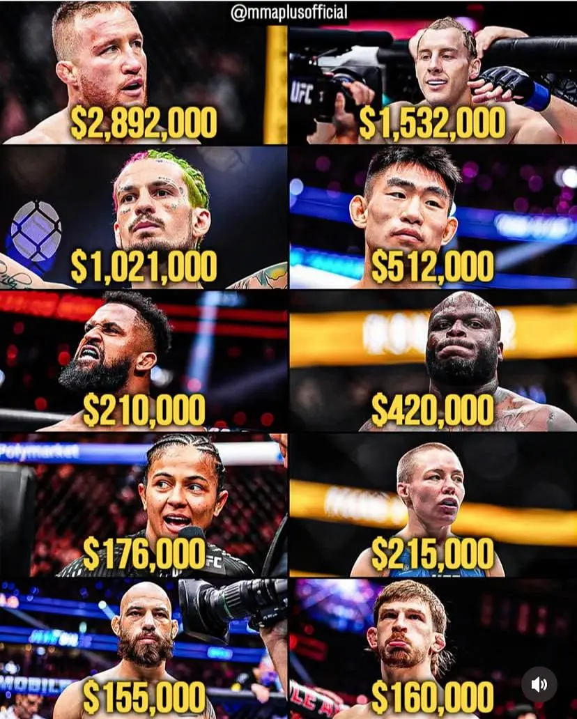 ufc324。主赛部分运动员的大概收入