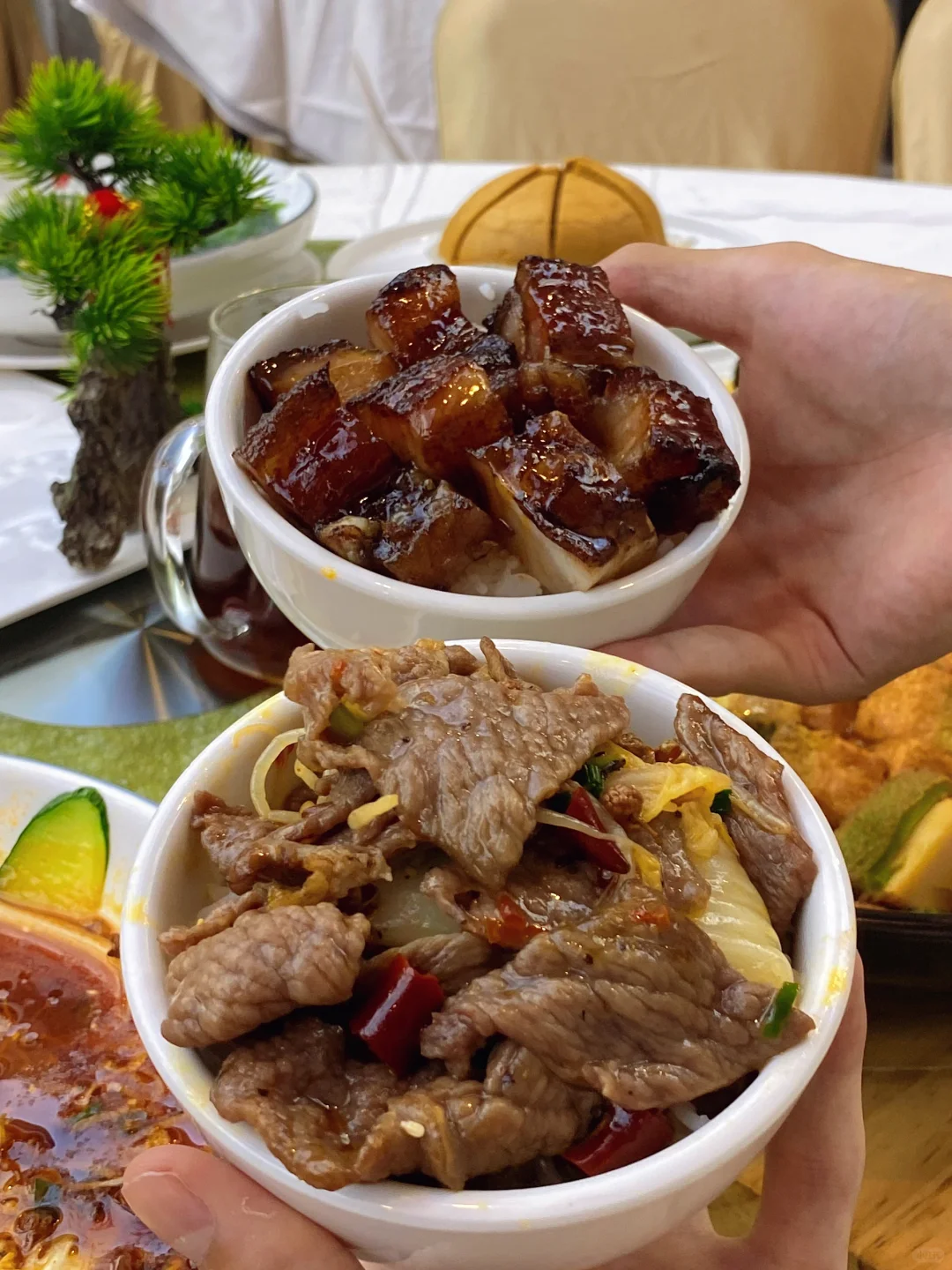 顺德！！带家里长辈来这里吃饭被夸了。。。🥹