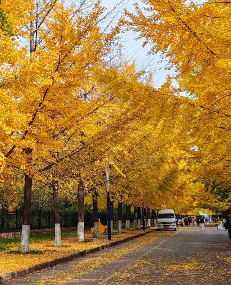 “把商业企业精神看成是不名誉的，把赚取利润说成是不道德的，把雇佣100个人视为剥