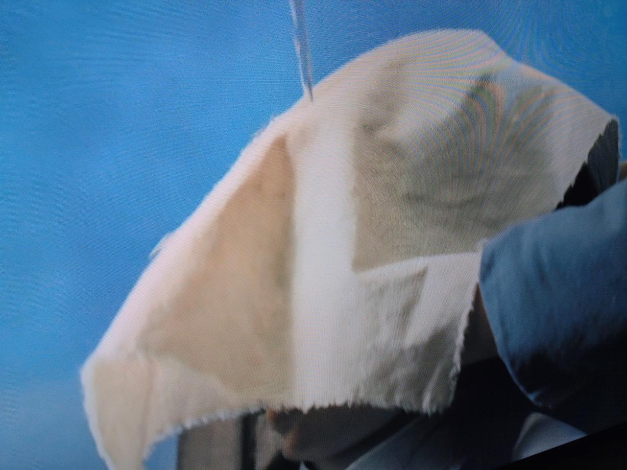 都看见嘴了，鼻子自然也没有堵上，这应该只是吓唬吓唬她，不然就应该算穿帮了。

《