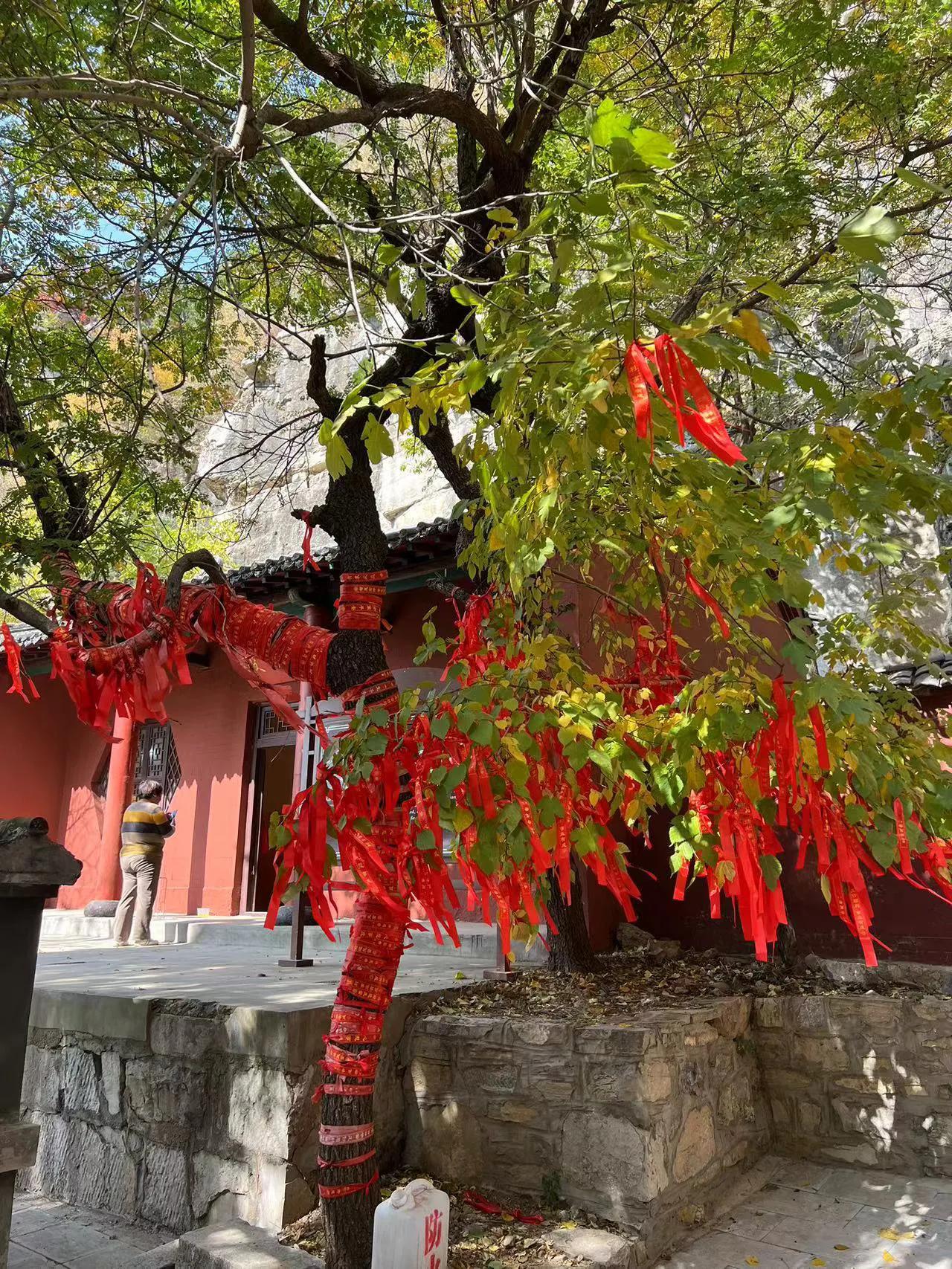 今天有结婚的
鞭炮声此起彼伏
每个人都有自己的宿命
一辈子干什么吃多少苦
享多少