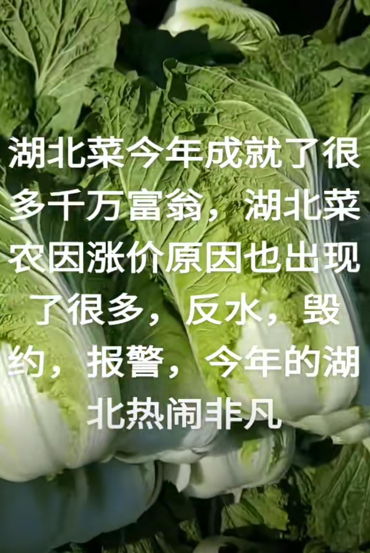 菜贱伤农，菜贵伤信誉！
在金钱与利益面前，合同就是一张白纸，对于老百姓来说，没有