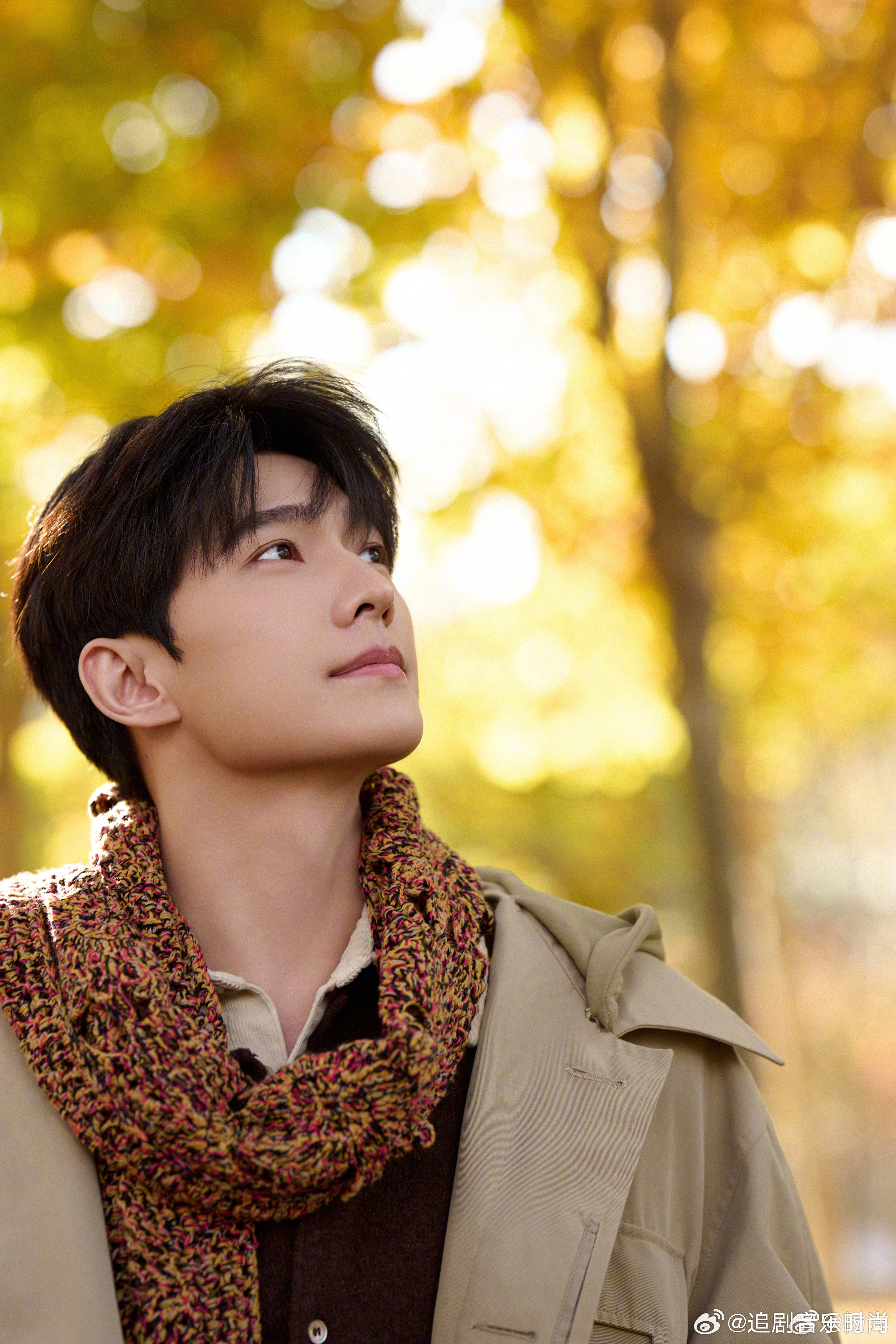把秋日浪漫焊在身上的男人！杨洋我的秋日男友  杨洋的每一张秋日大片都氛围感爆棚，
