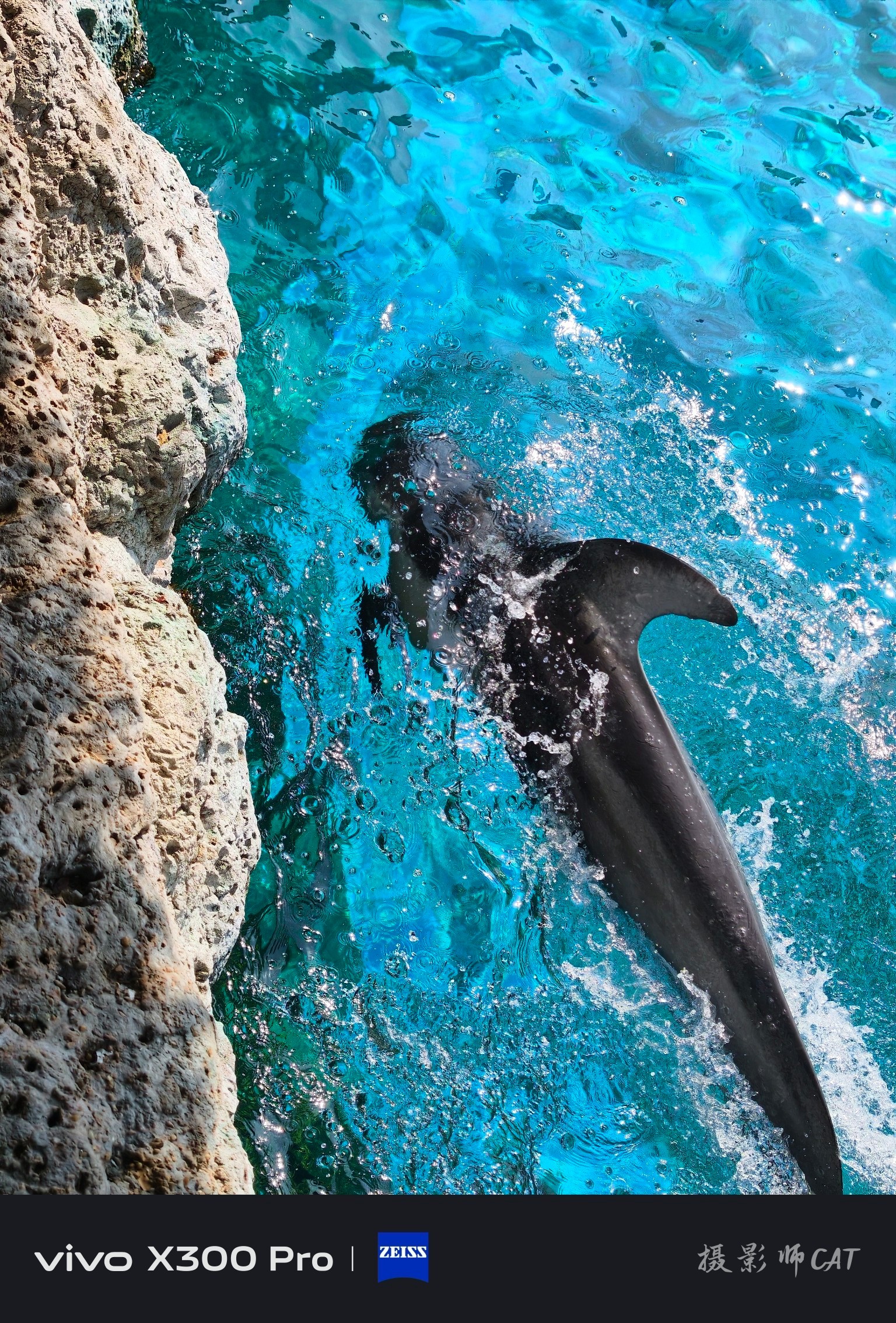 摄影师Cat使用vivo X300 Pro拍摄的海洋生物。画面中海水呈现出丰富的