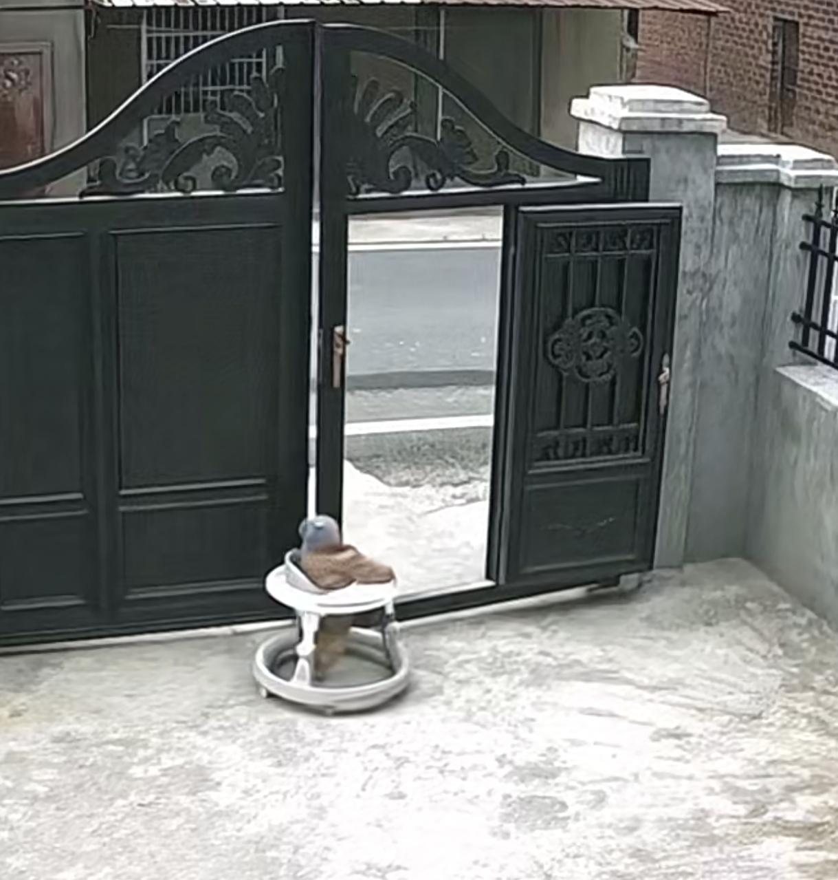 幸亏遇到好心的司机
要不后果不堪设想
江西，1岁宝宝推开大铁门马路边玩耍，这小孩