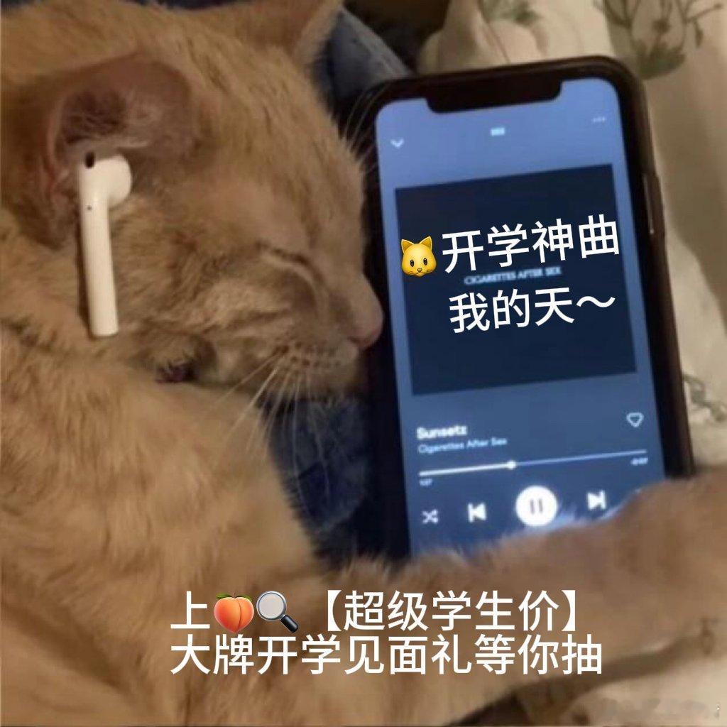 上淘宝享超级学生价天猫无限派对🐱新学期给自己安排一场开学焕新，从宿舍软装到日常