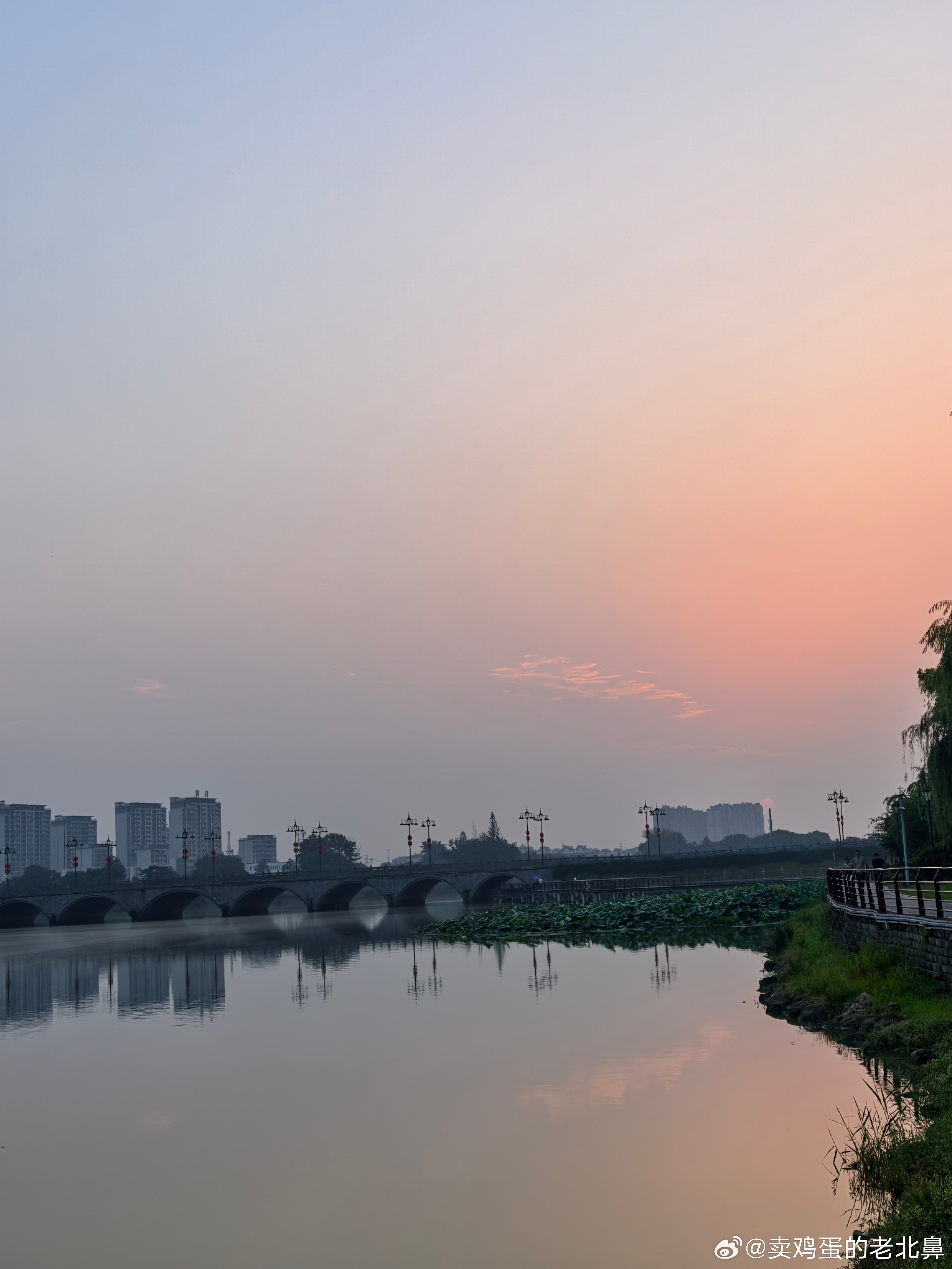 早安。今天的我比日出🌅还早。 