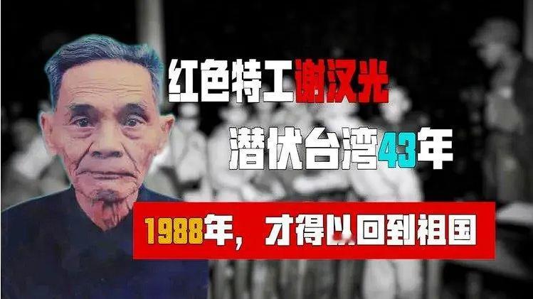 1988 年，在台湾潜伏 42 年的地下党利用假身份回到了大陆。到家后，他才知道
