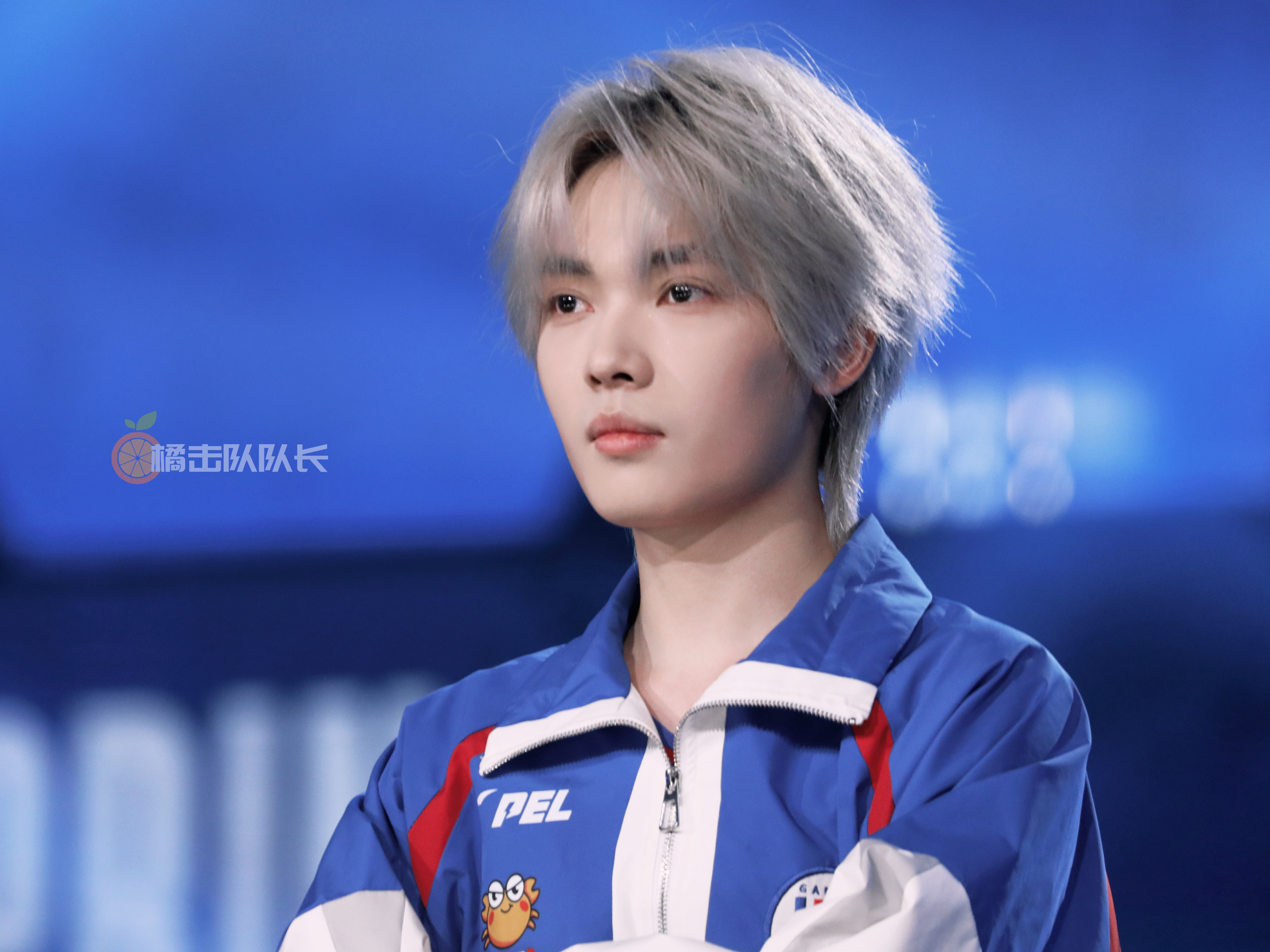 pel春季启幕即巅峰  帅气猫猫🐈⬛2026pel春季赛2026pel春季赛开