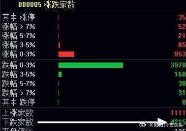 又是普跌二八分化，4200多只股大跌普跌延续了昨天的走势，虽然指数小涨，其实80