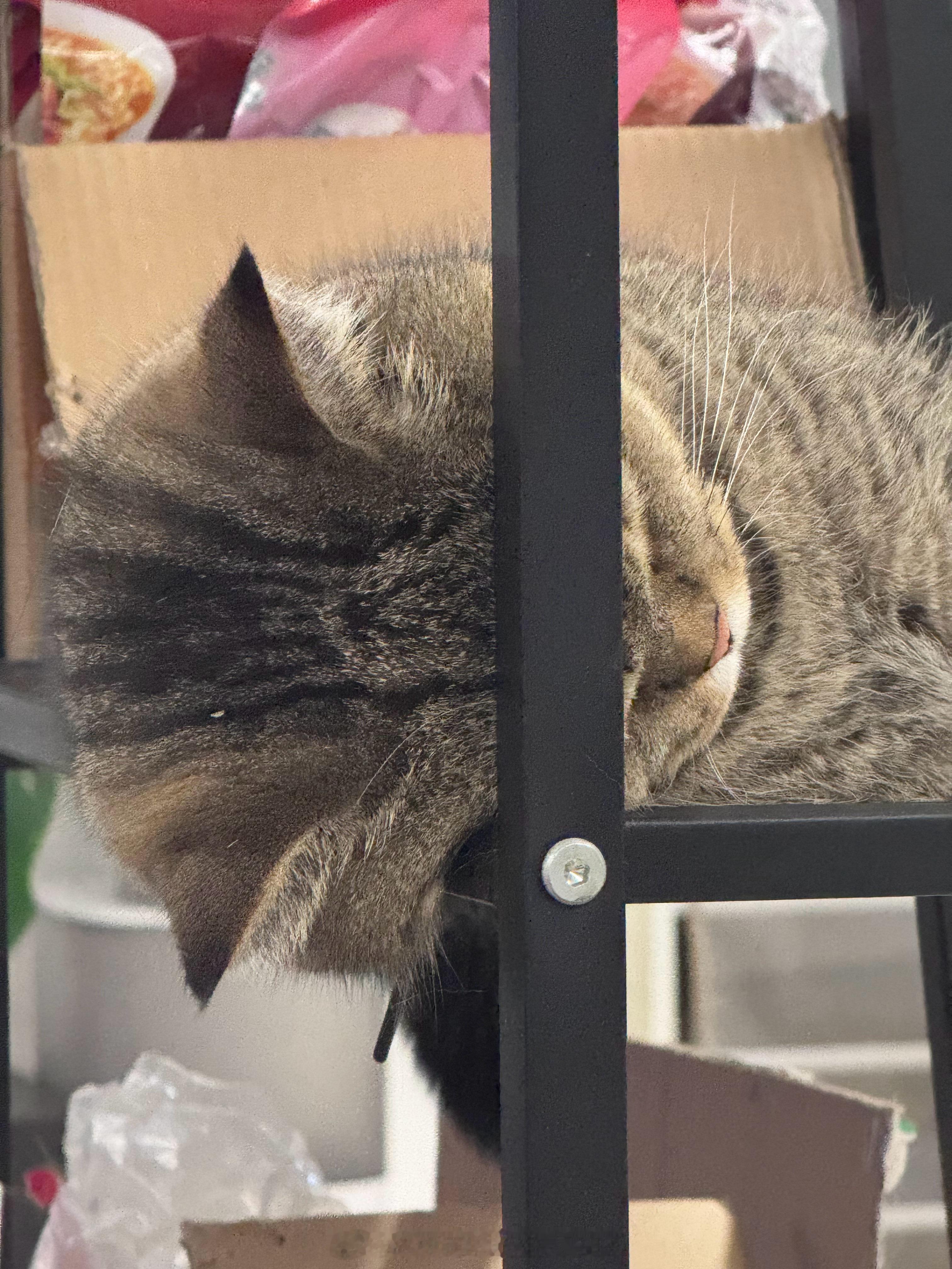 前额叶按摩 