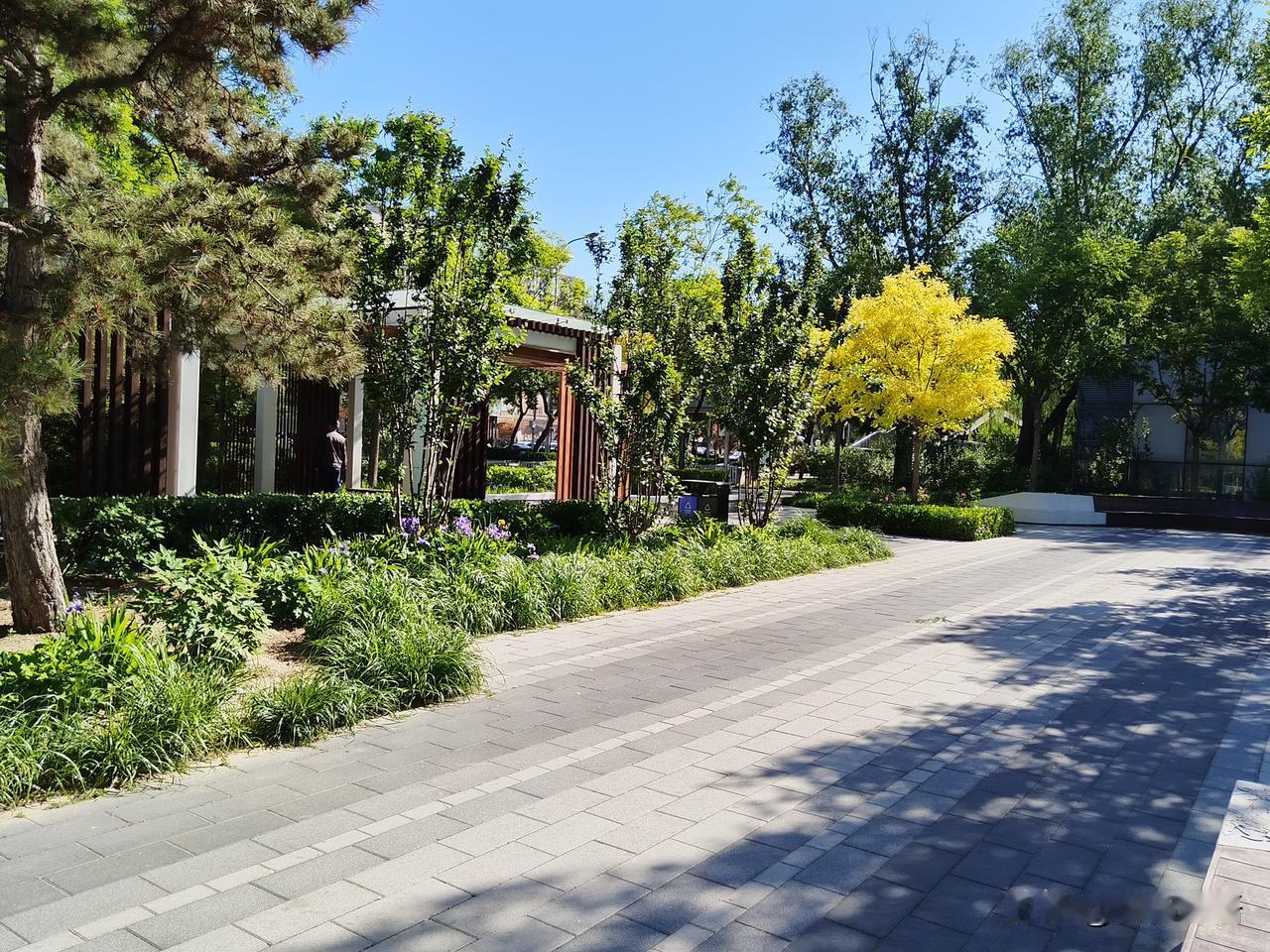 中科院有这样一位院士，是女儿女婿的老师：六十岁已经出头，身体健康；夫妻和睦，都是