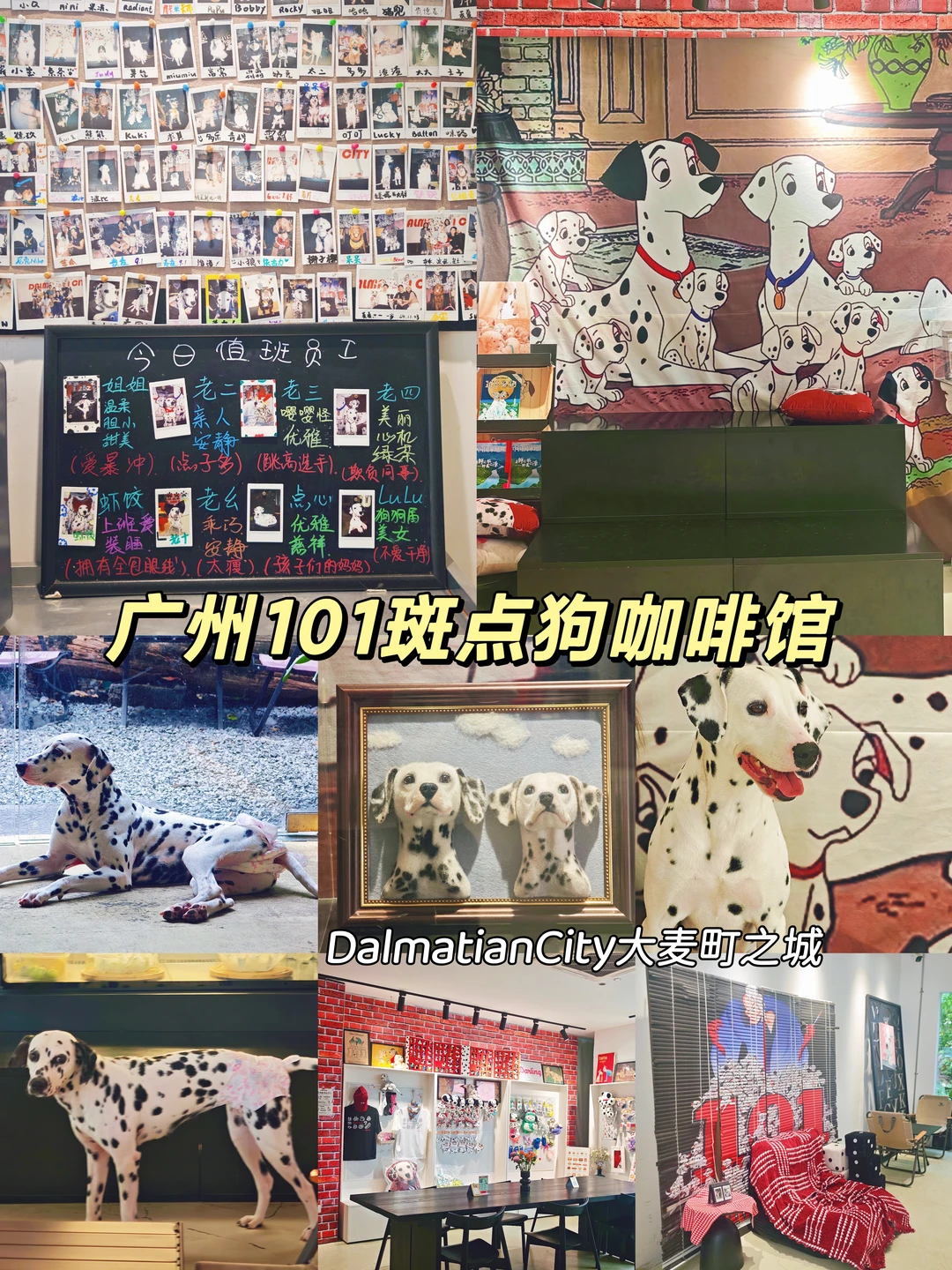 广州101斑点狗咖啡馆🐶｜真的夯爆了🤩