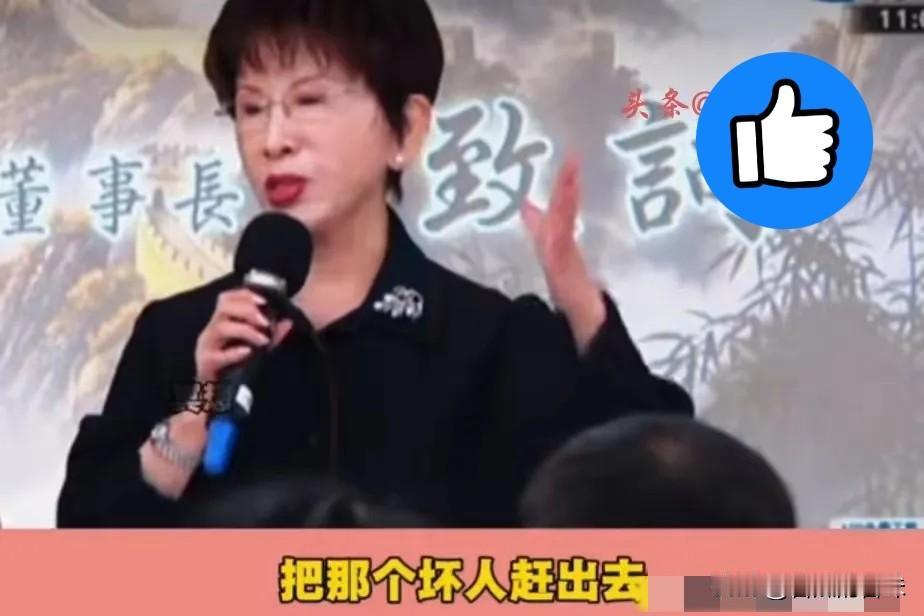 “把那个坏人赶出去！”洪秀柱今天（5月3日）上午出席侯汉廷新书发布会时直言，“这