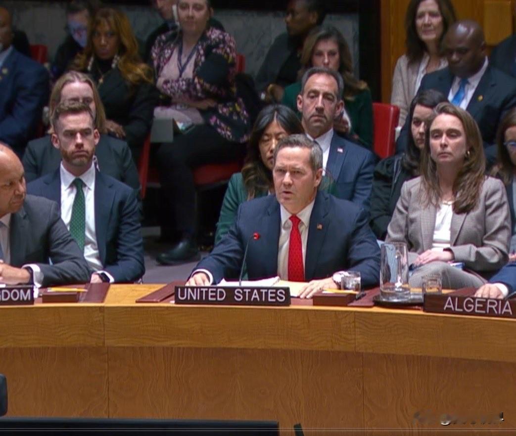 纽约时间11月17日，联合国安理会以13票赞成、0票反对、2票弃权的压倒性多数通