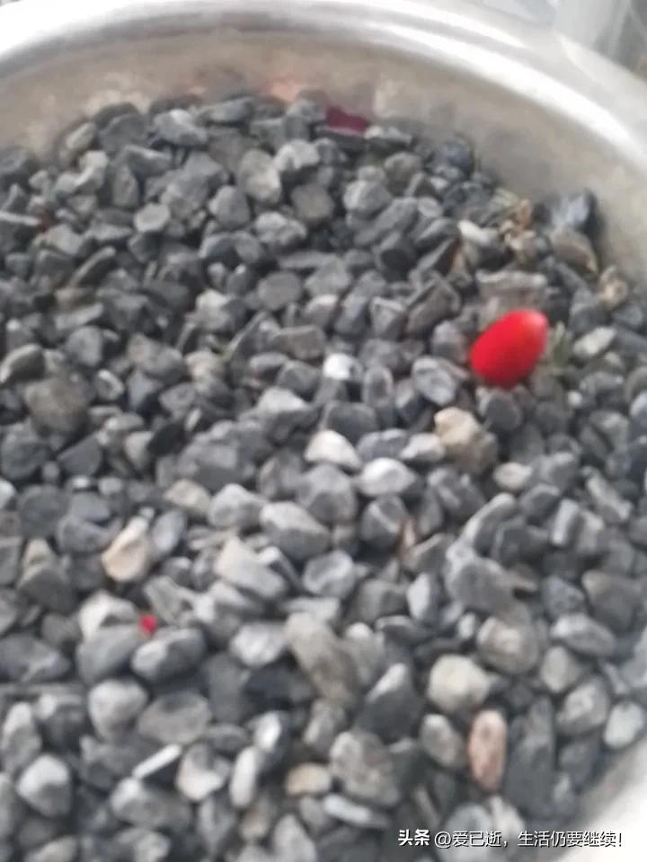 我对下联：人有旦夕祸福
诚邀友友们一起评论一下！还有什么更好的？
友友请邀对下联