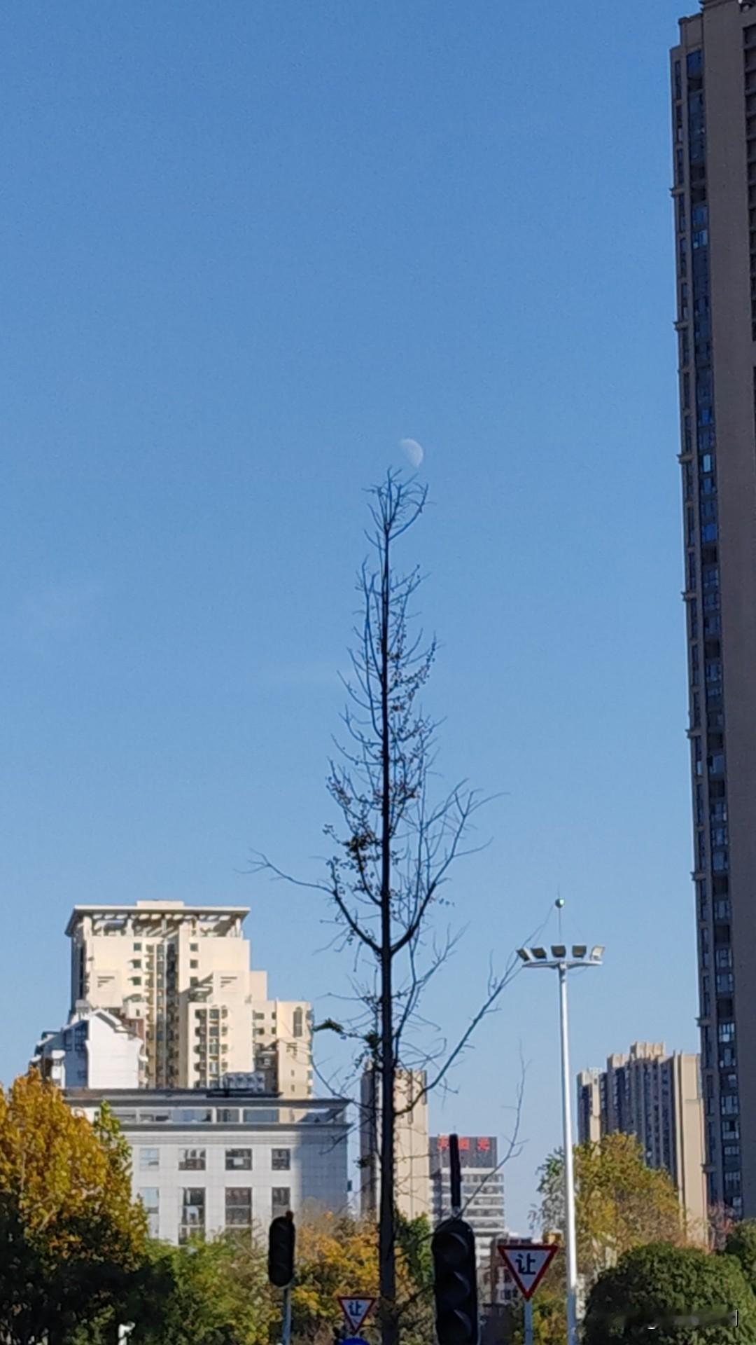 日月同天[赞]，真是好天气