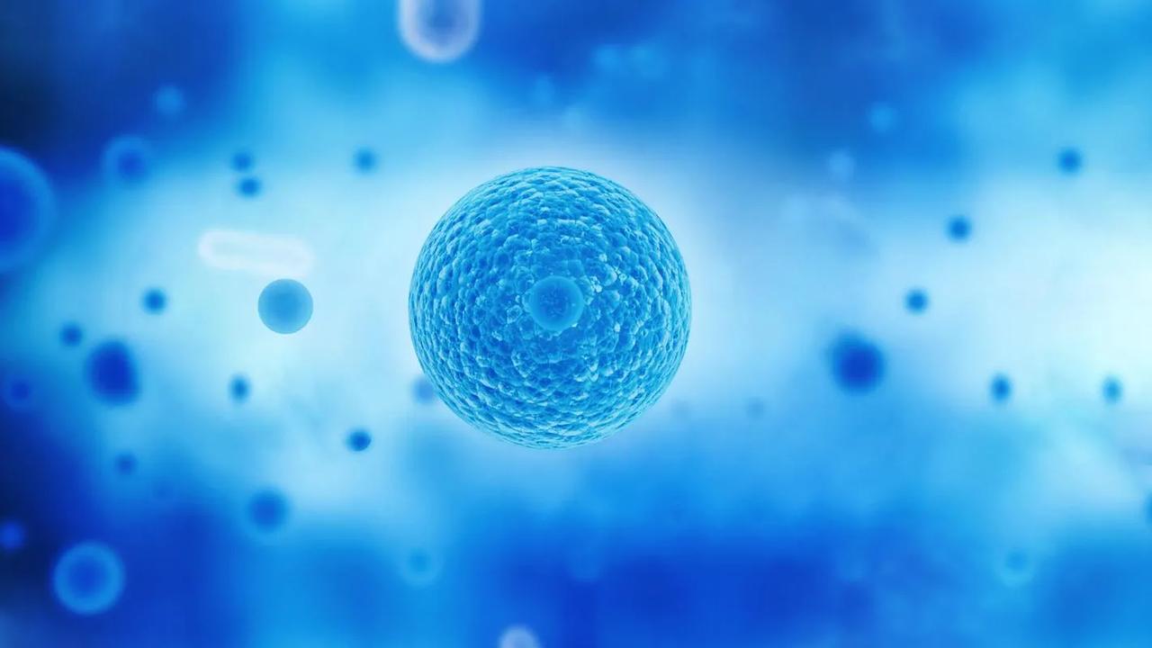 用干细胞治疗疾病需要注意各种问题，例如治疗时机、给药途径、细胞类型的选择和使用频