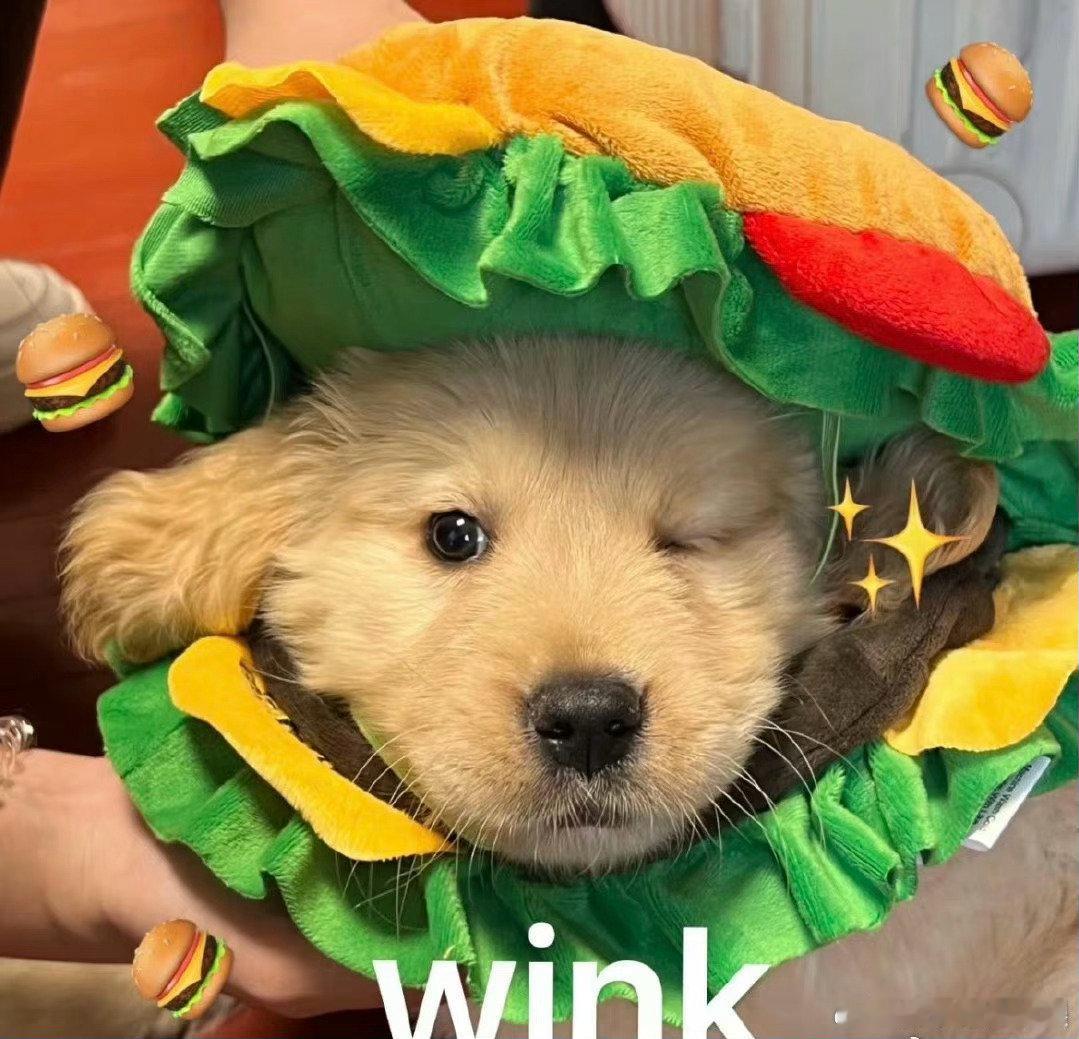 #中国未来购物方式给老外一点震撼#身为中国人，真的很自豪，我们国家发展的越来越好