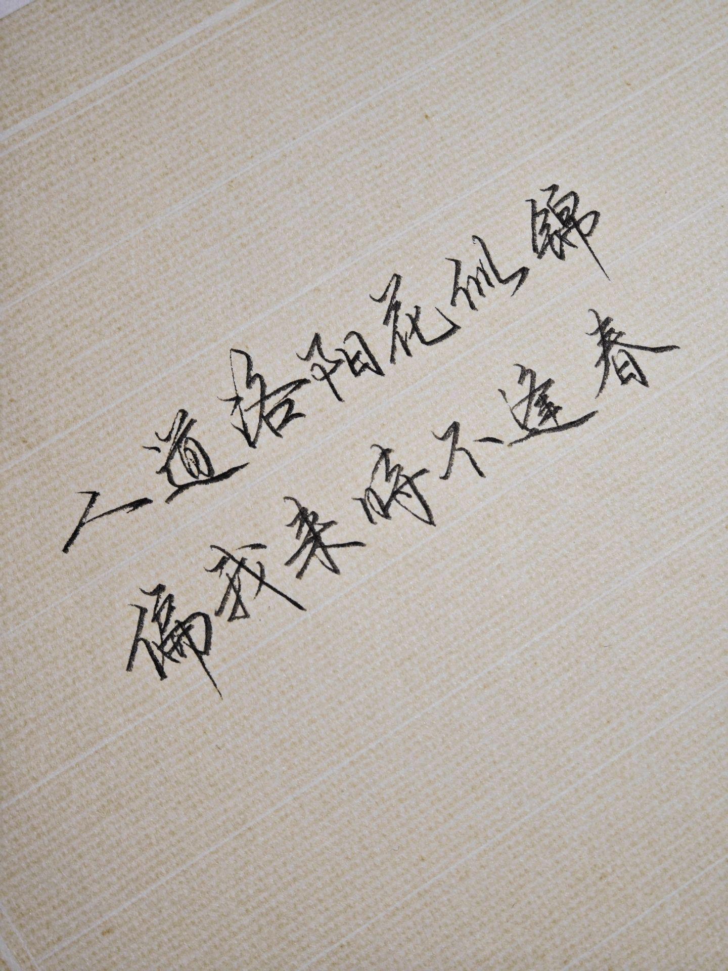 少年你为何好胜而懒惰，一定要有所失才能有所悟吗。