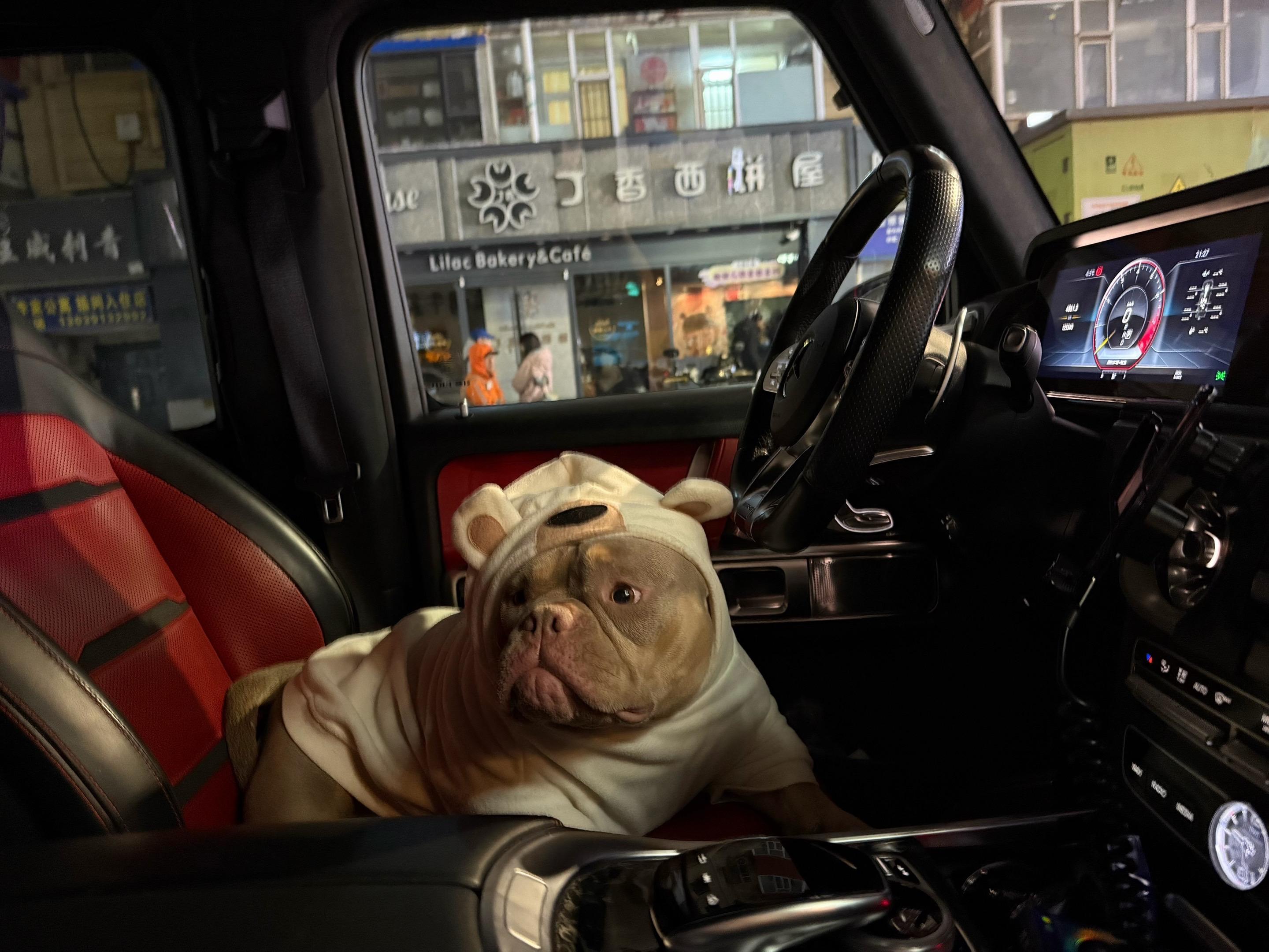 看完我的狗 记得回礼 我也要看看你的