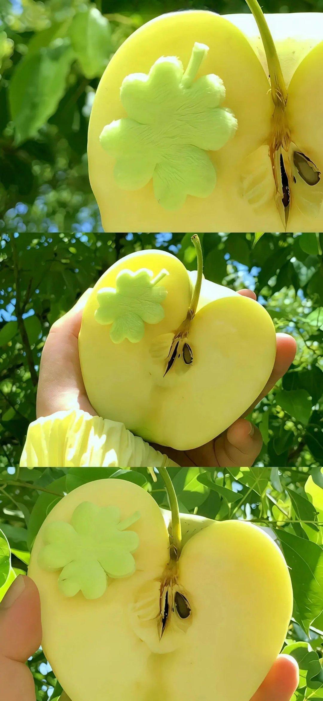 高清无水印小清新壁纸 