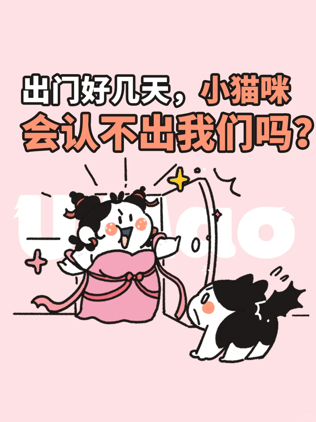 出门好几天回到家，小猫咪会认不出我们吗？