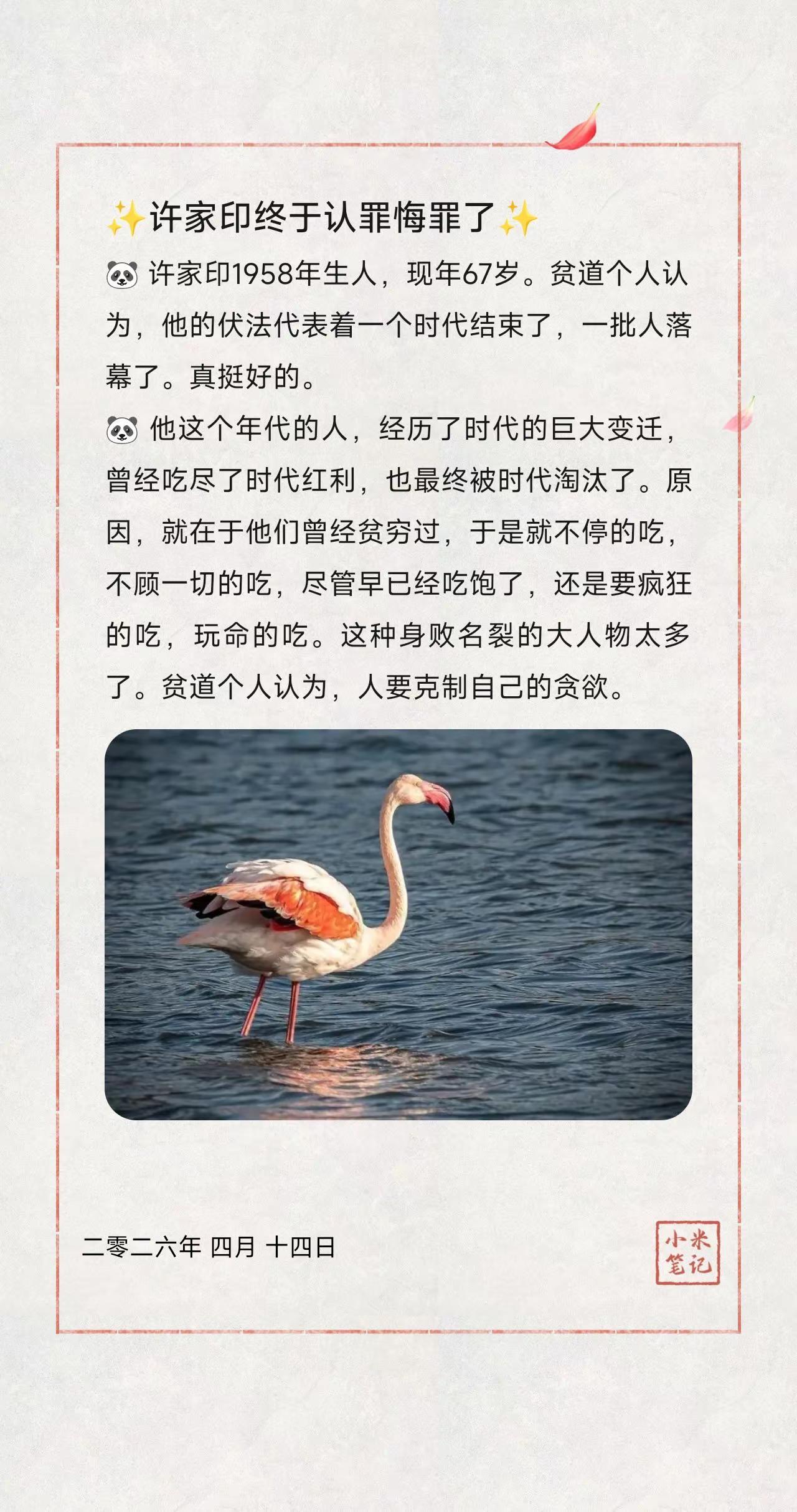 ✨许家印终于认罪悔罪了✨🐼 许家印1958年生人，现年67岁。贫道个人认为，他