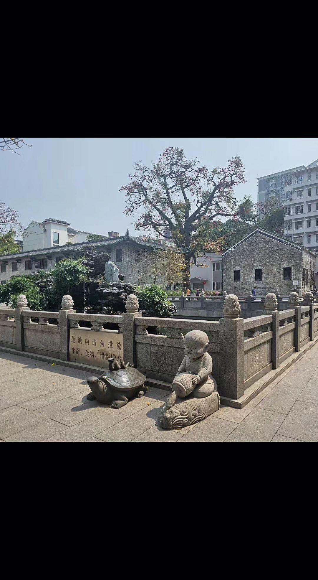 🪨石龟驮着旧时光，小和尚静坐听风吟🍃。古墙爬满岁月褶皱，新楼在远处偷看人间烟